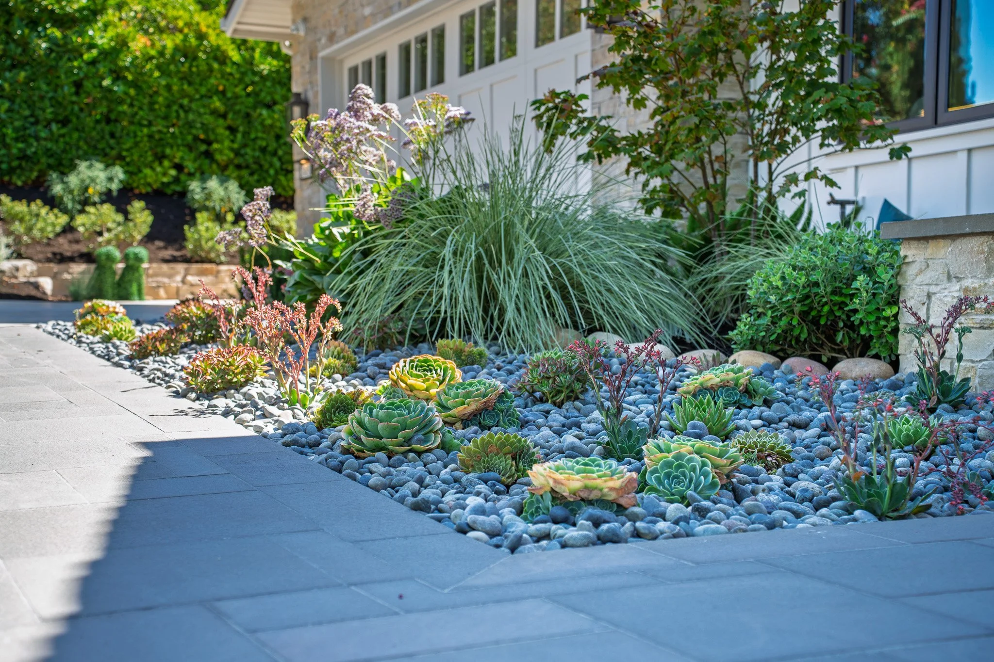 Drought-tolerant succulent garden with river rock beside bluestone pavers, designed and installed by G&H Landscaping