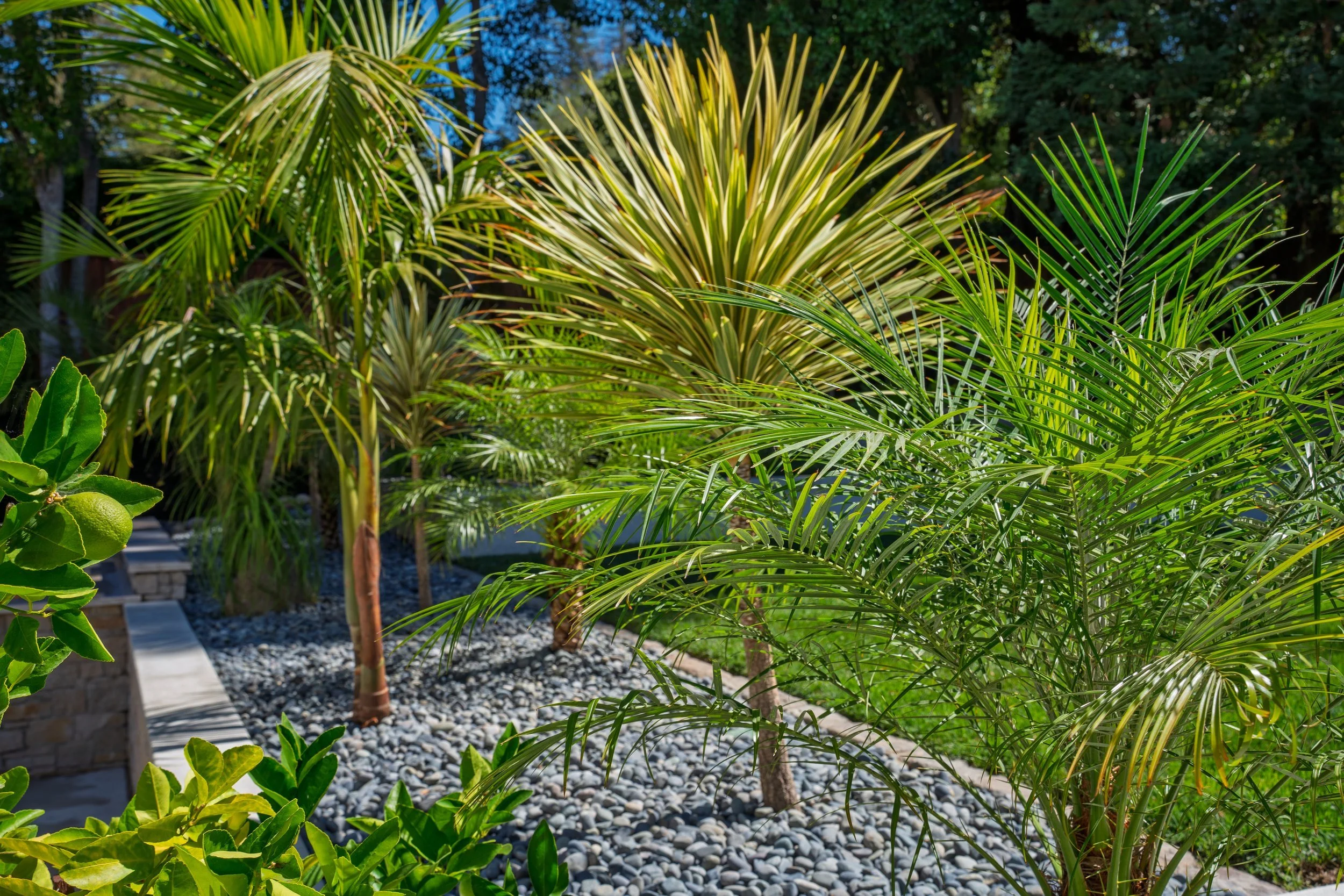 gh-palm-garden-river-rock.jpg