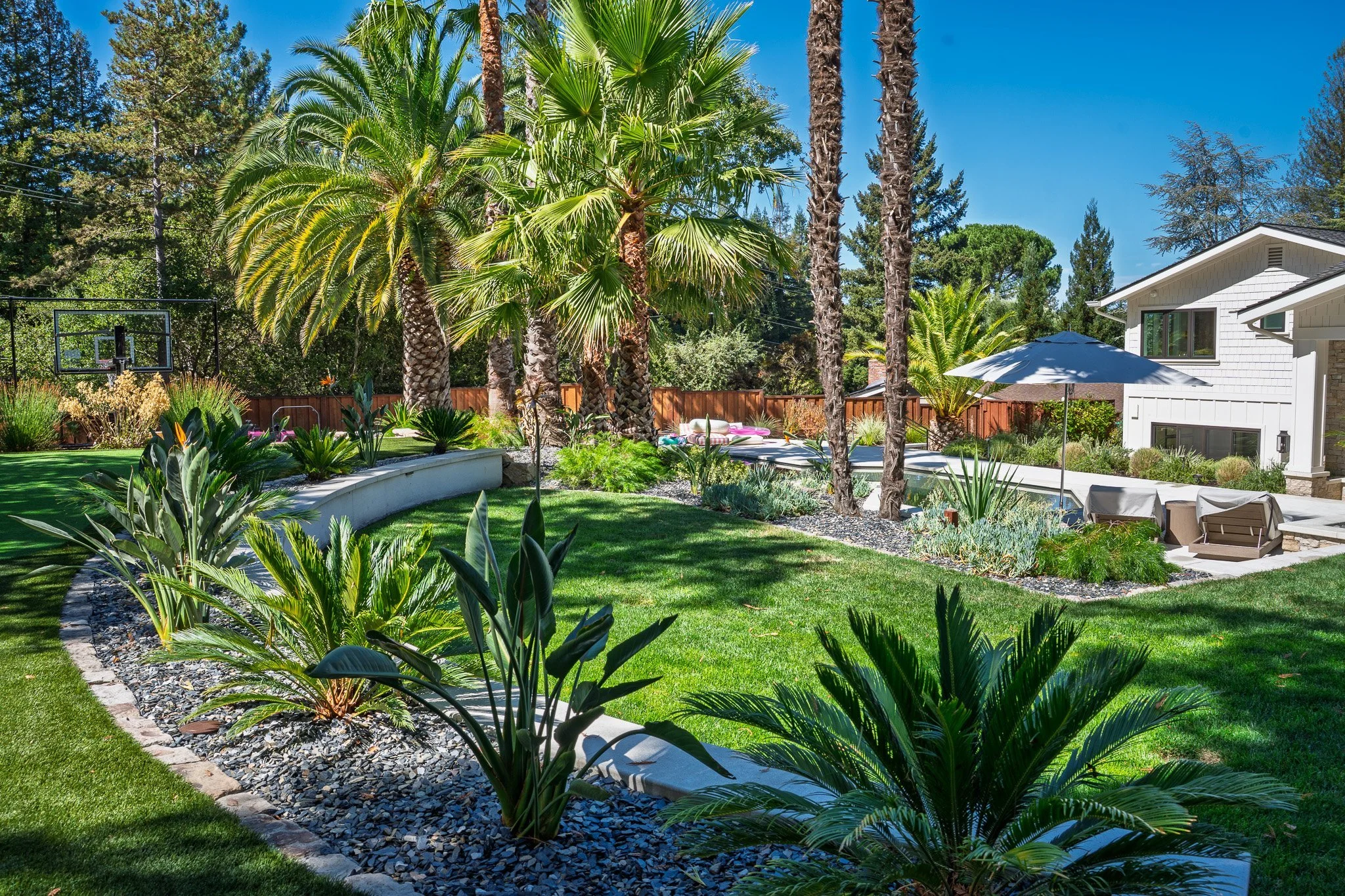 gh-backyard-lawn-cycads-palms.jpg