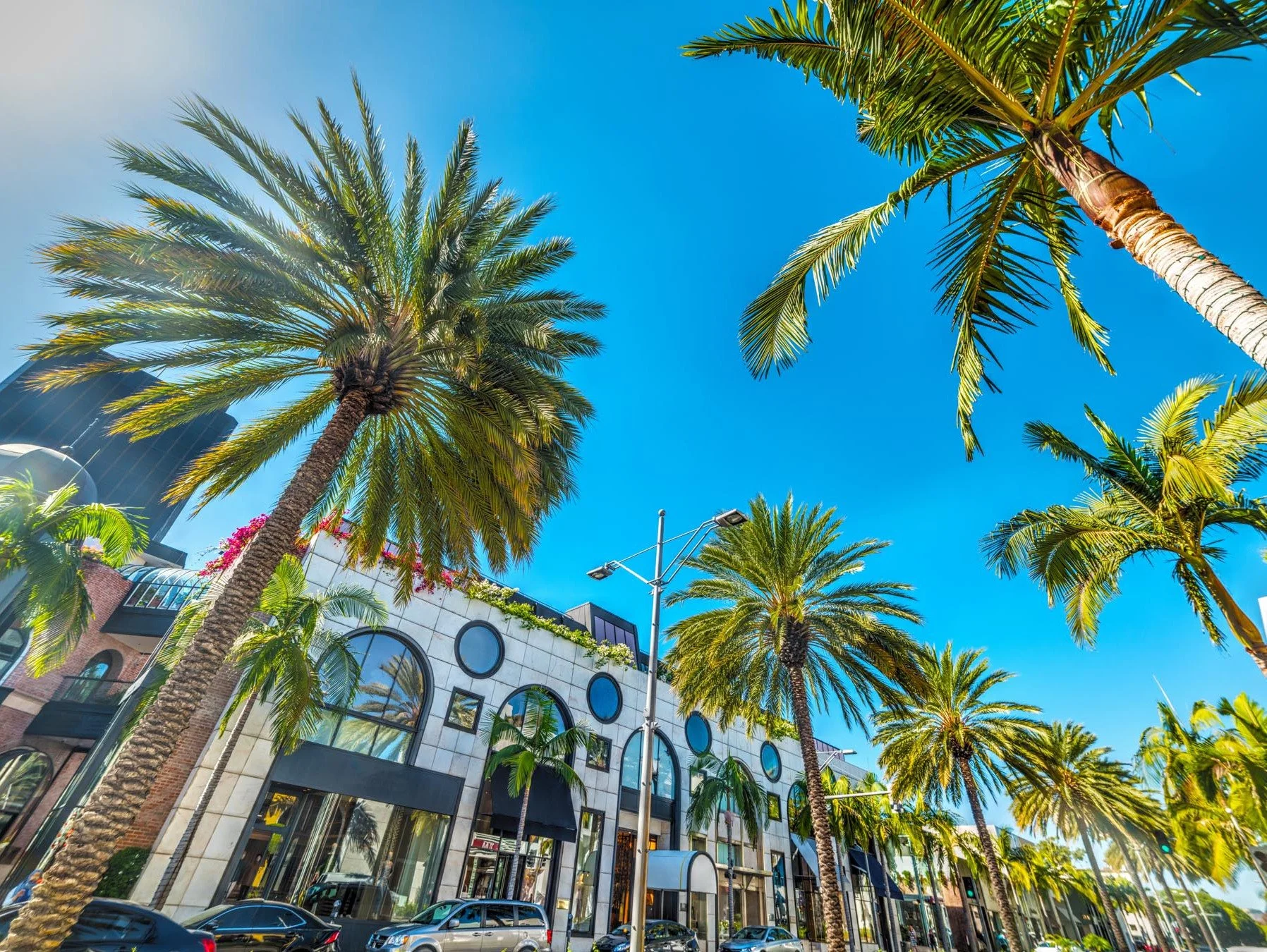 Tall palm trees lining a busy street with modern buildings in the background under a bright blue sky.