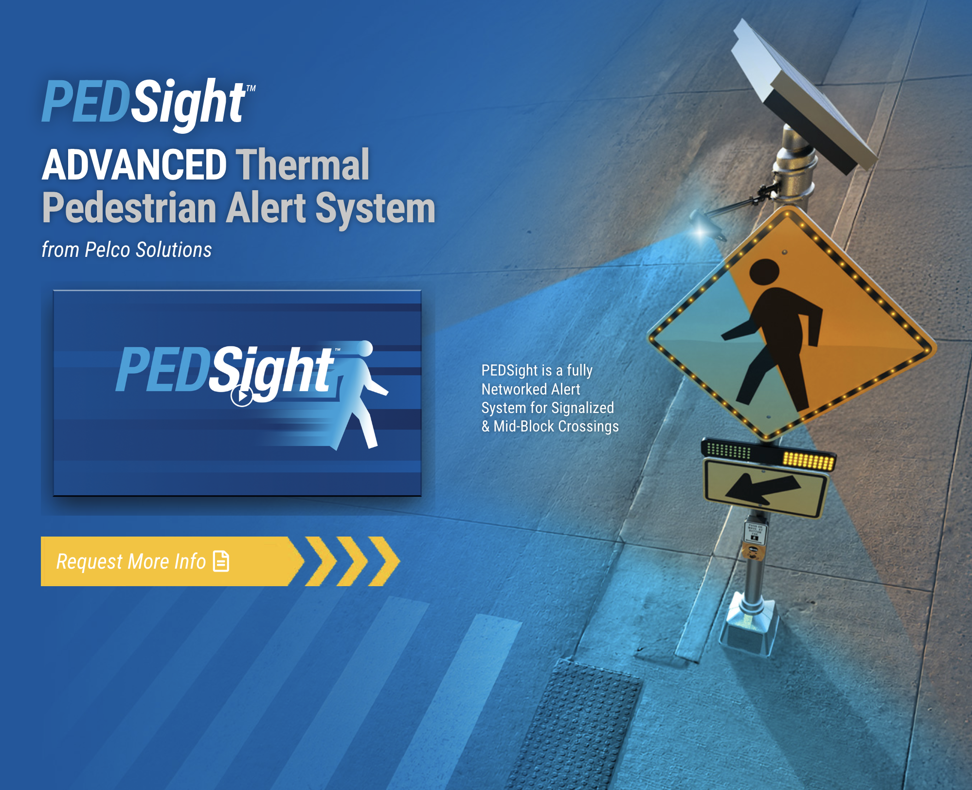 PedSight.png