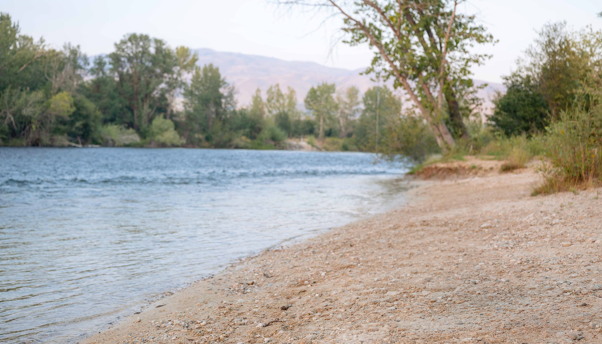 A river shoreline with calm water, a sandy and pebbly beach, and trees along the bank with mountains in the distance under a clear sky.