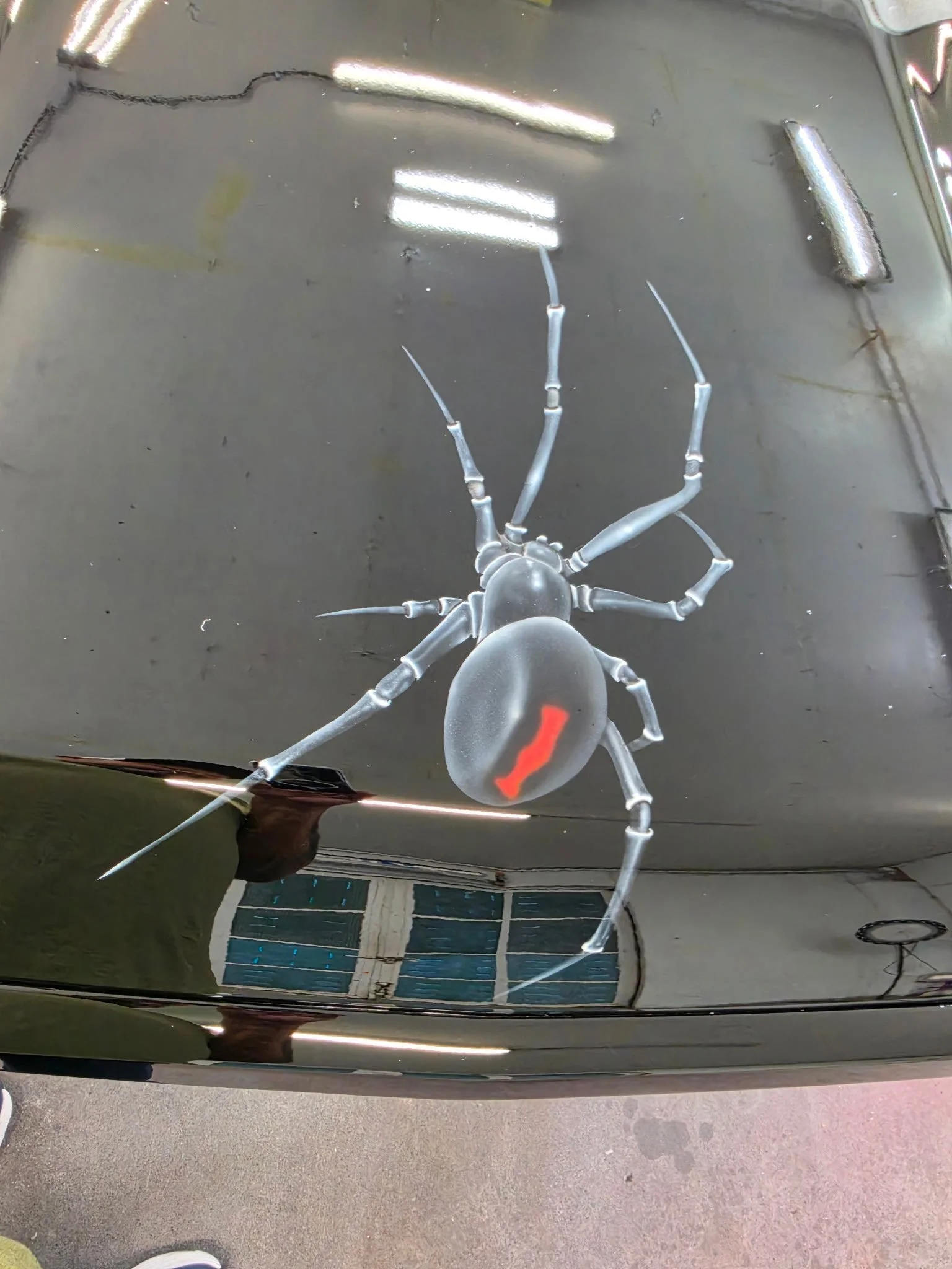 4746.jpg