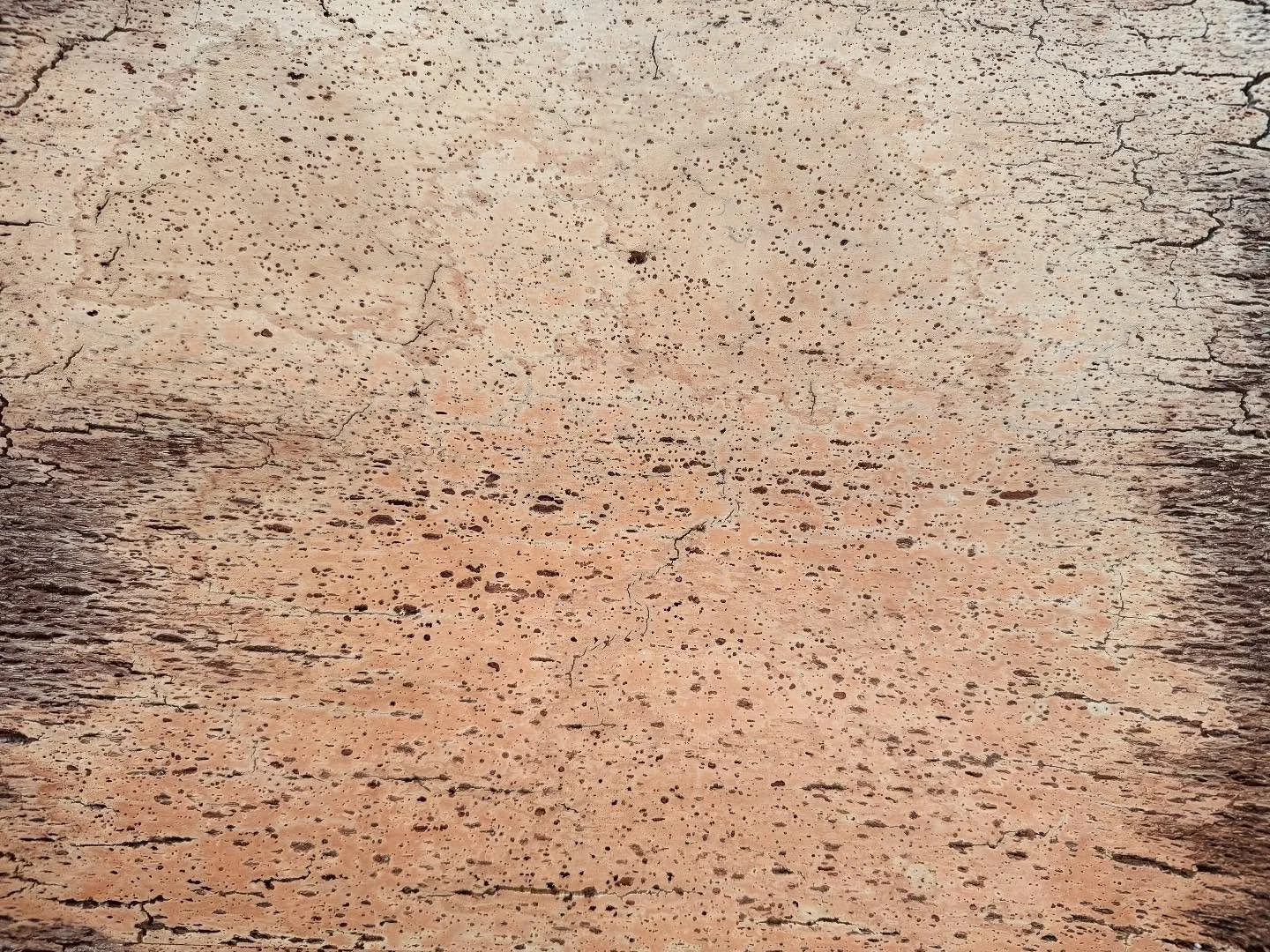 Fun fact: over half the world&rsquo;s cork comes from sobreiro trees in Portugal. These trees are protected by the local government and the cork is harvested sustainably from the tree trunks every 9 or so years.