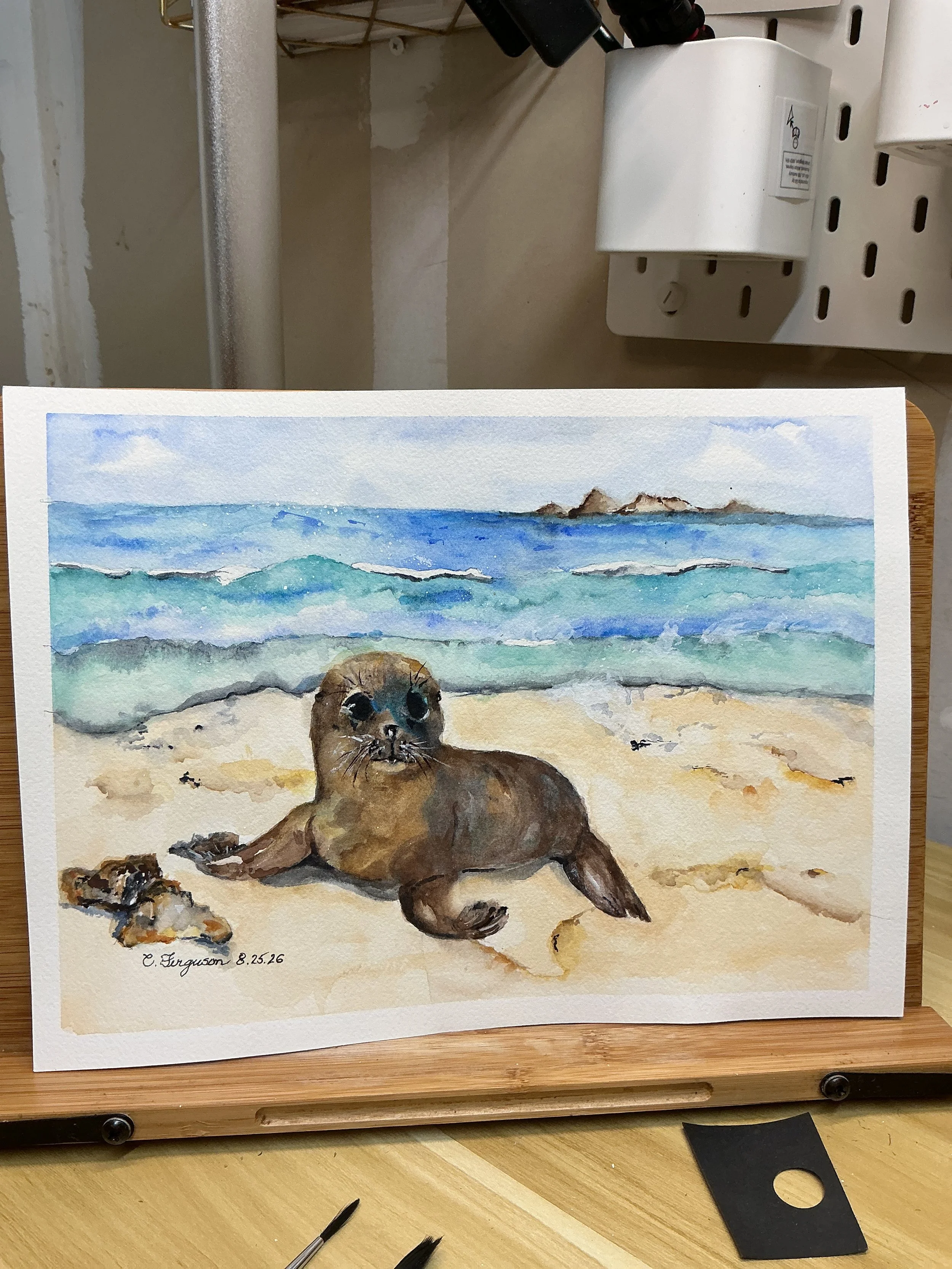 Baby Seal, Print