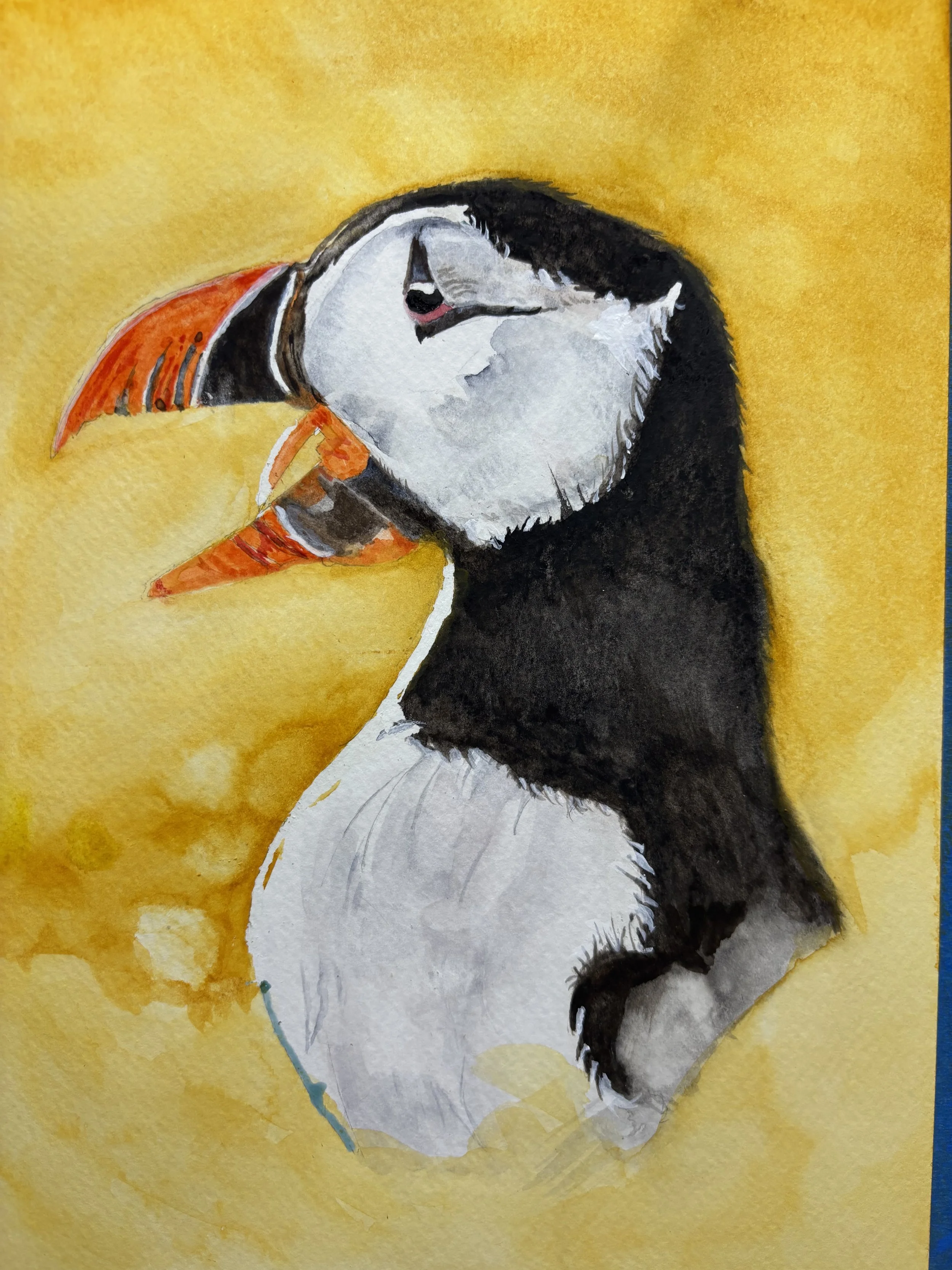 Playful Puffin