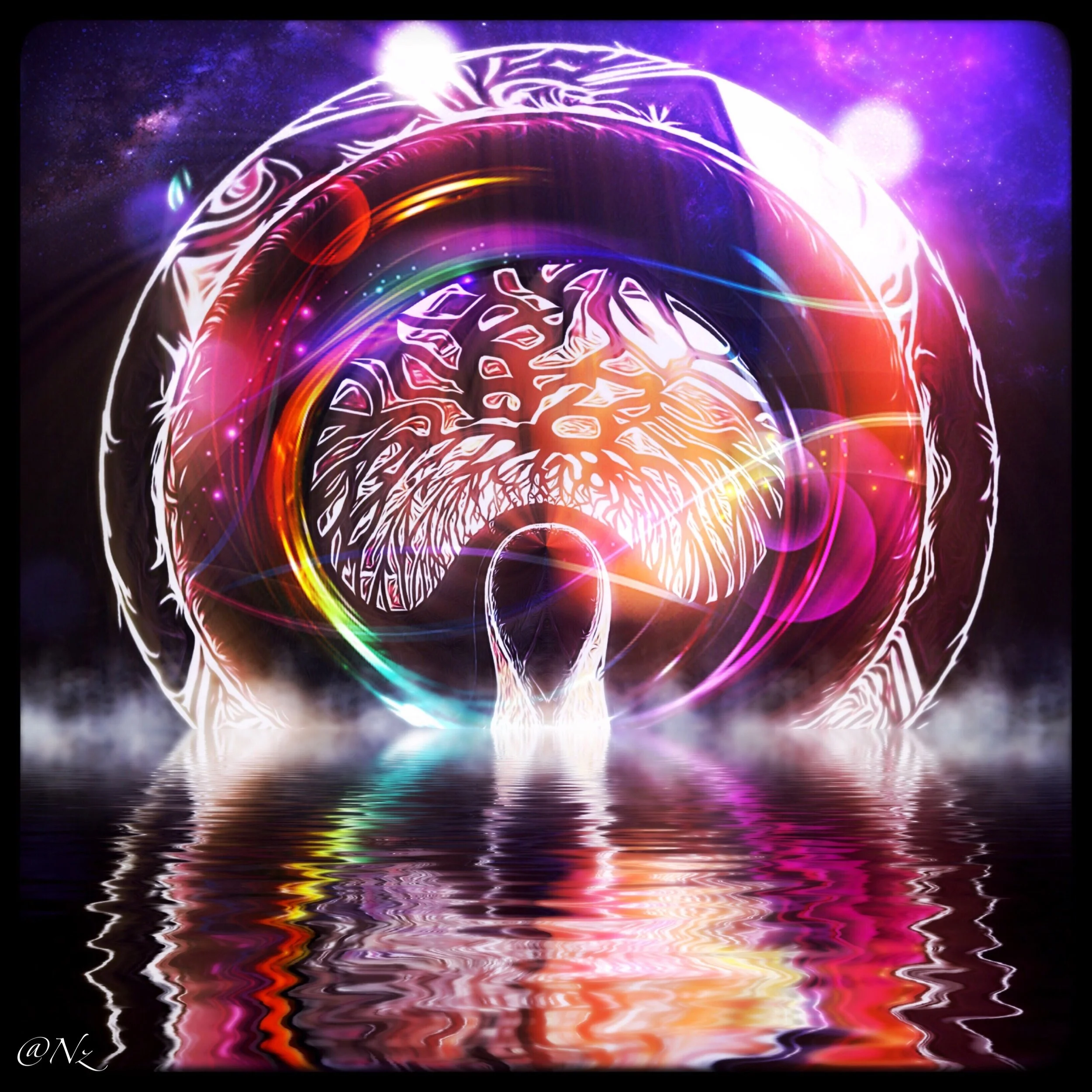 Reflections - Neon Tree.jpg
