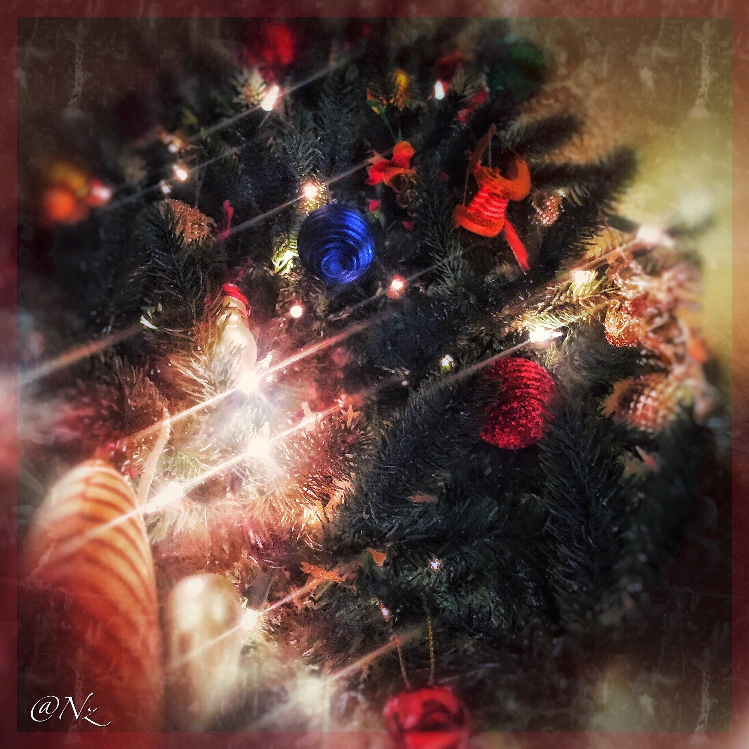 Christmas - Sparkle Tree.jpg