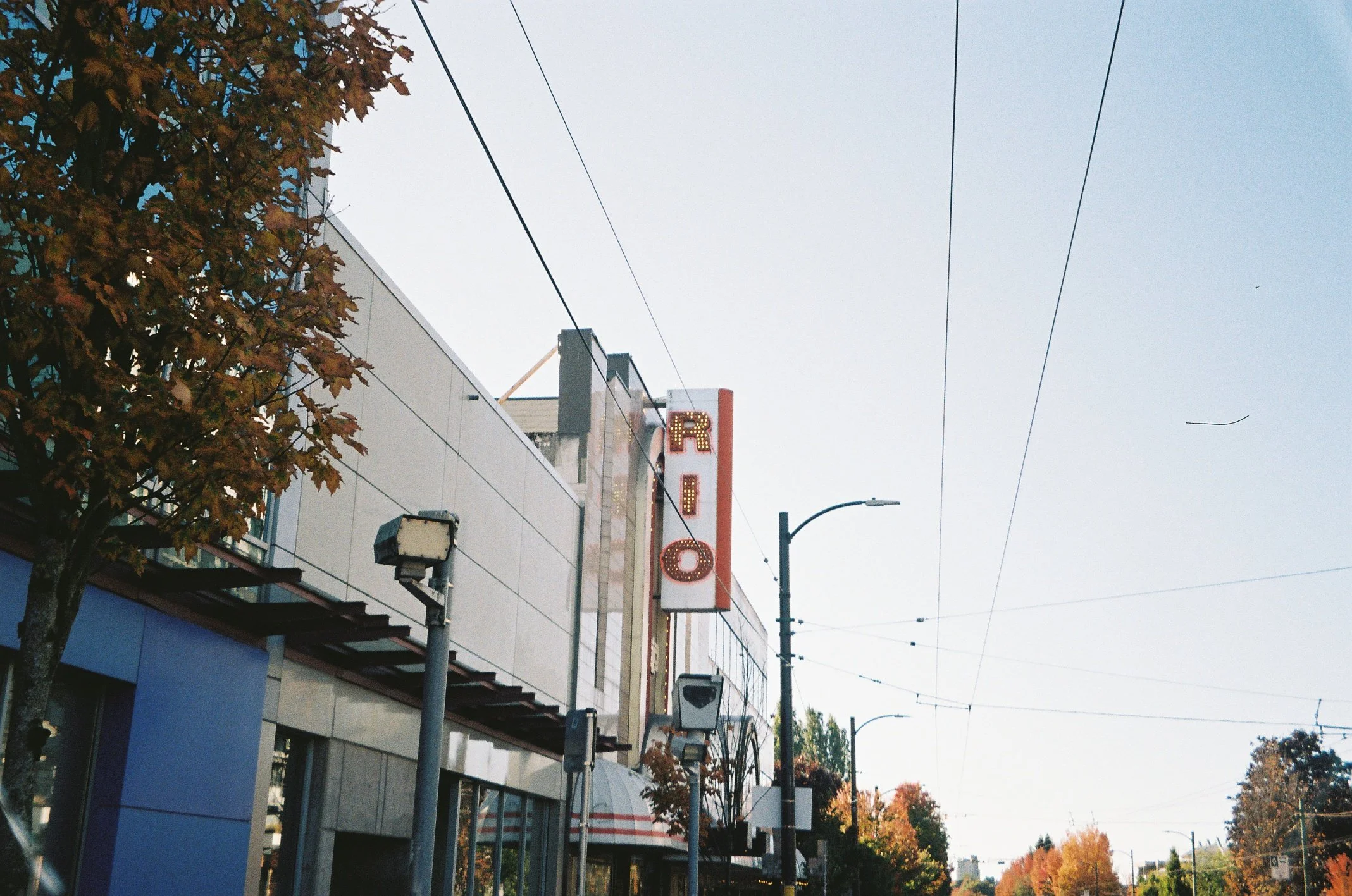 Street view featuring building facades, electrical wires overhead, street signs, a streetlight, and autumn trees with colorful leaves.