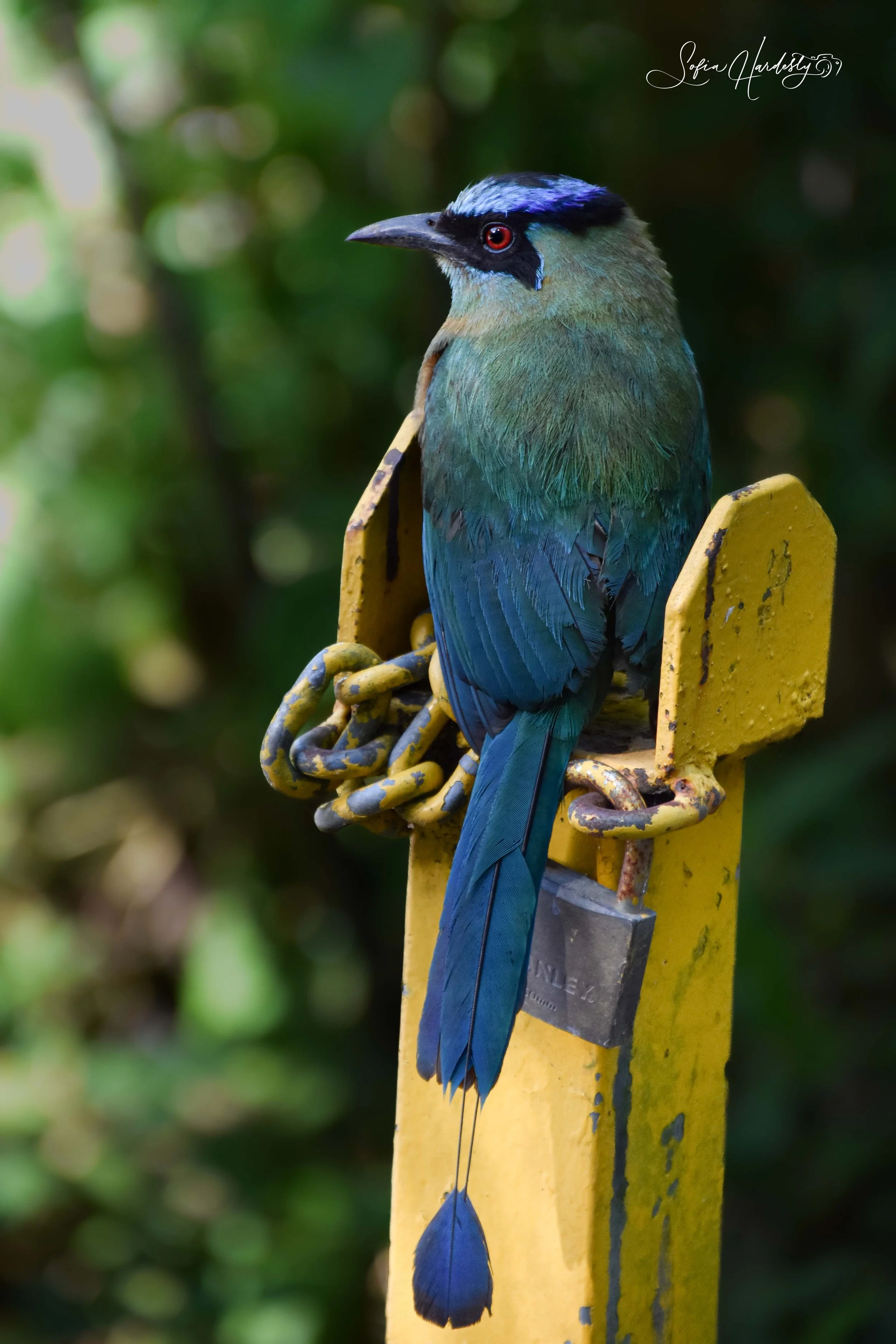 Costa Rica.jpg
