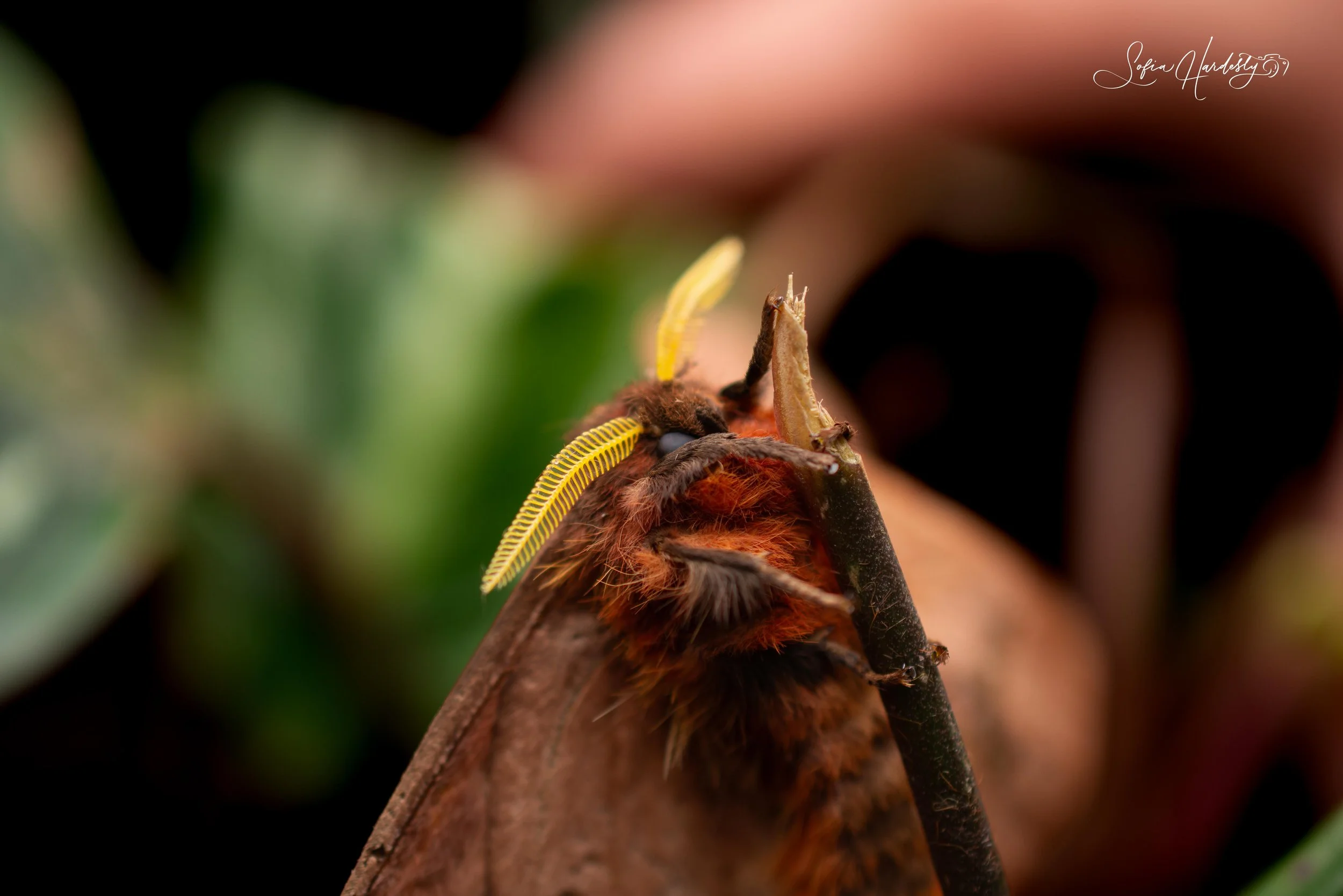 Costa Rica-3.jpg