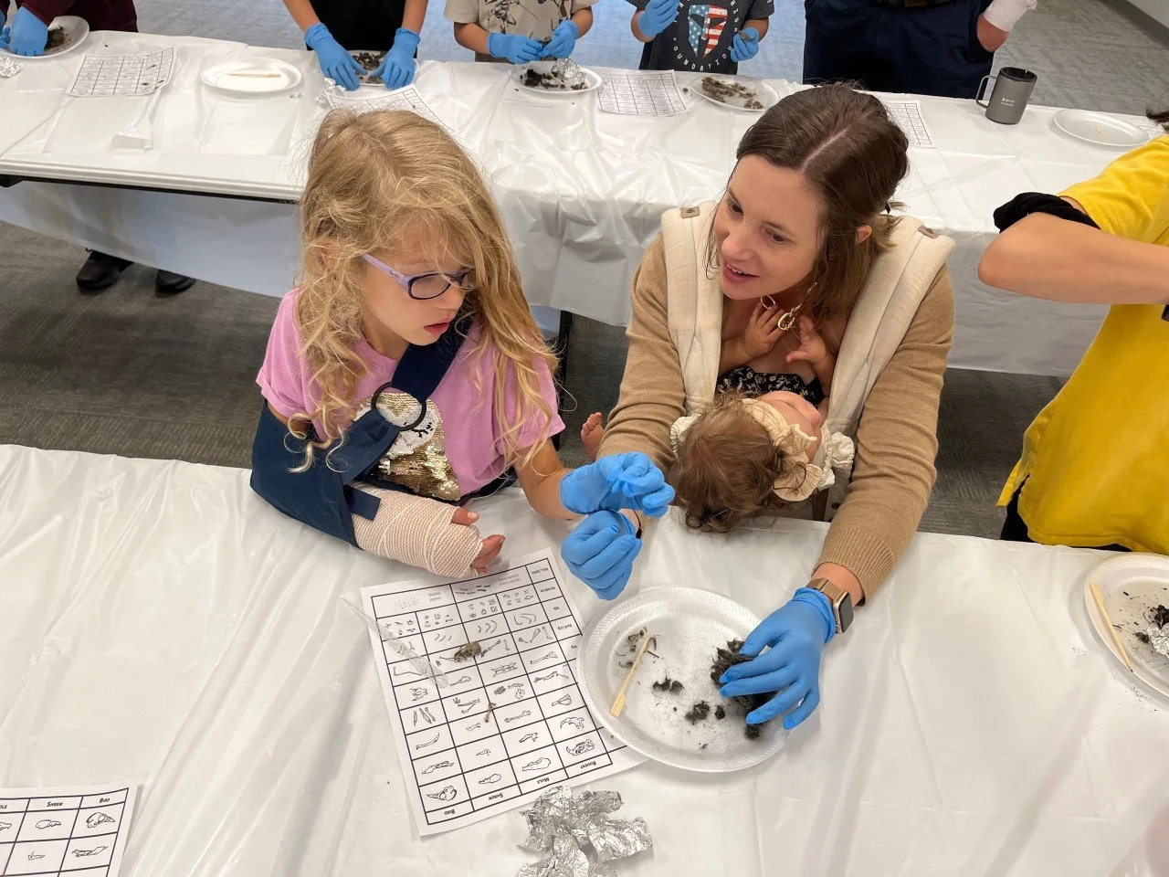 family owl pellet dissection