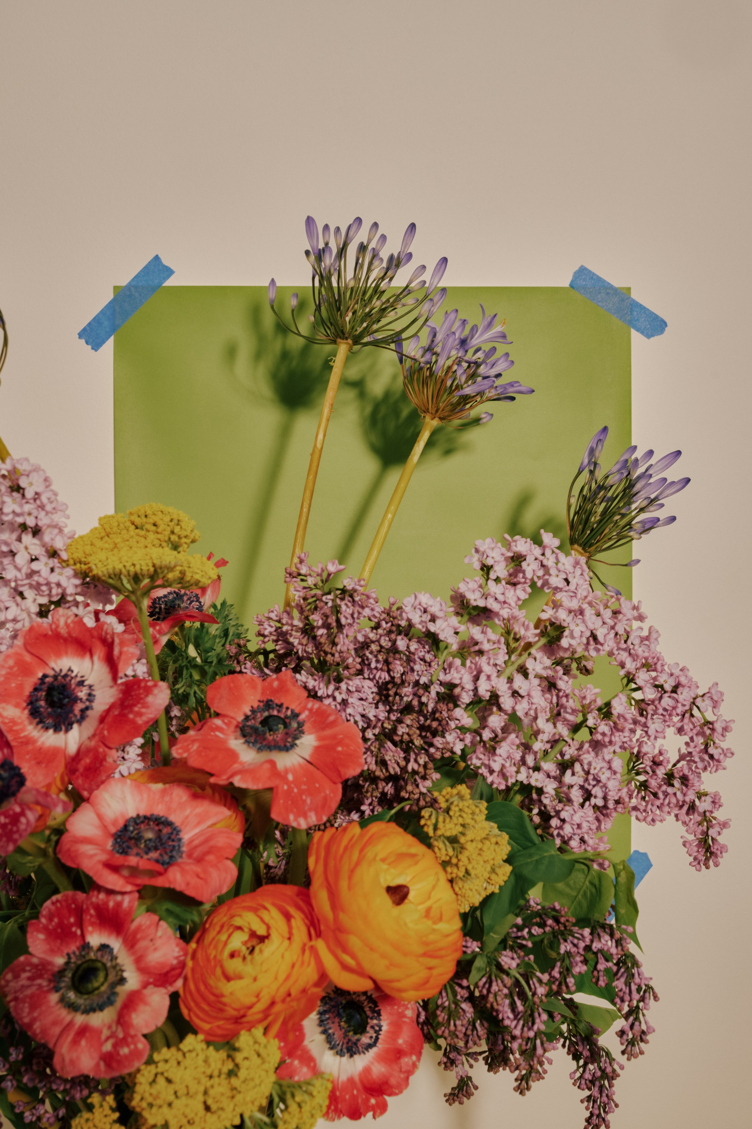 42-SOLA_MOTHERS_DAY_20260387.jpg