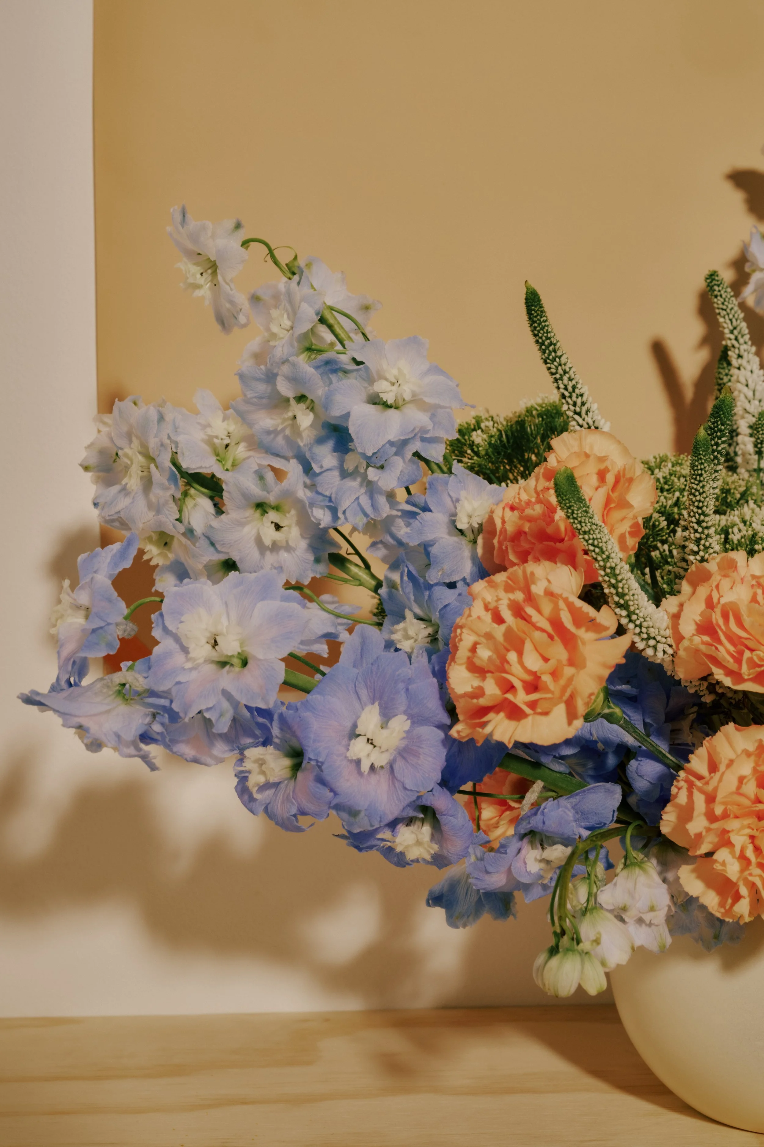 58-SOLA_MOTHERS_DAY_20260417.jpg