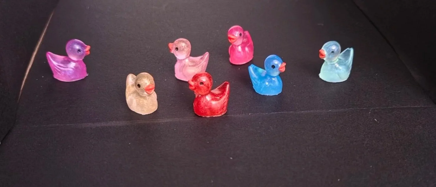 Pack of 20 ducks