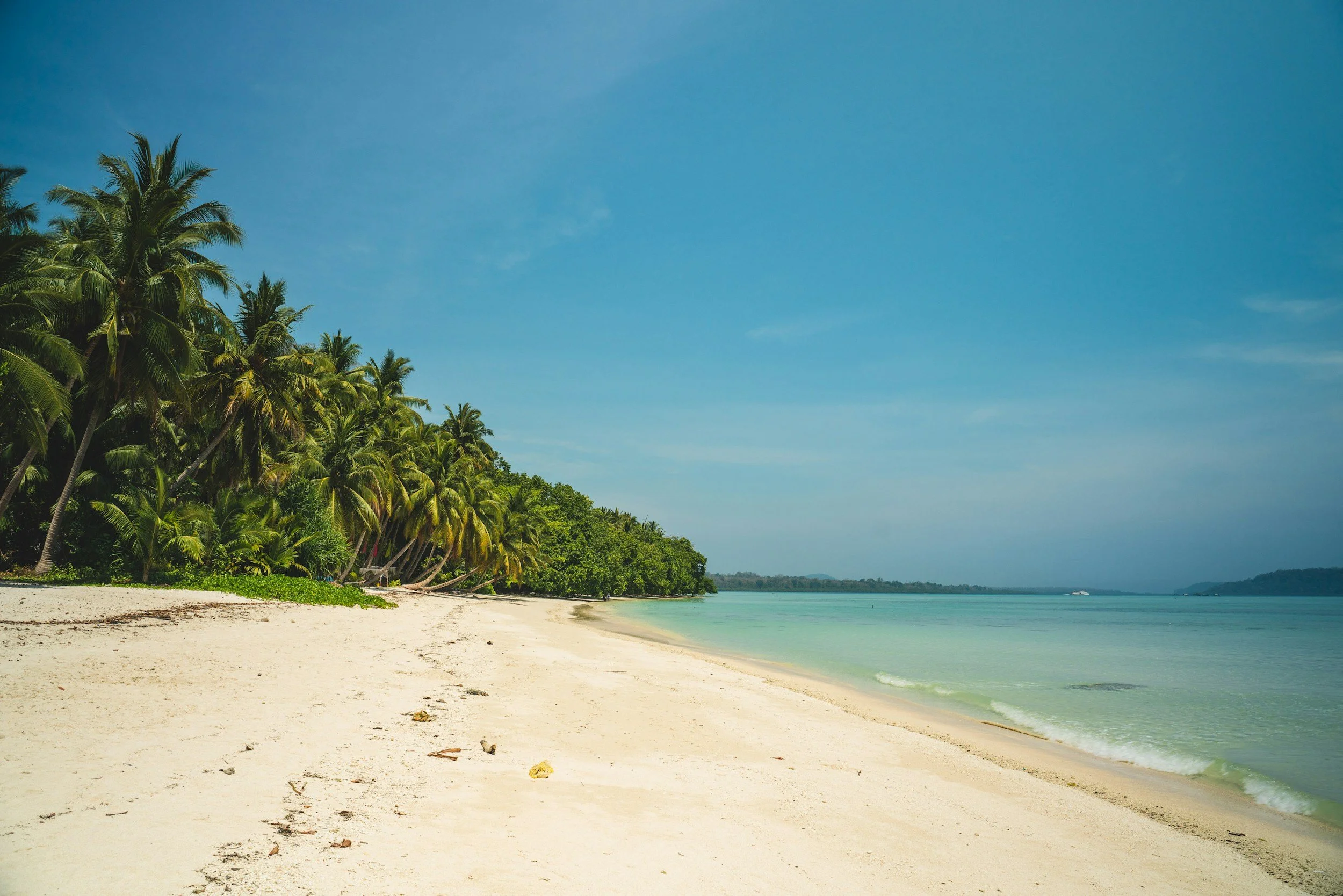 A tropical beach with white sand, calm turquoise water, and a lush green palm tree line under a clear blue sky.