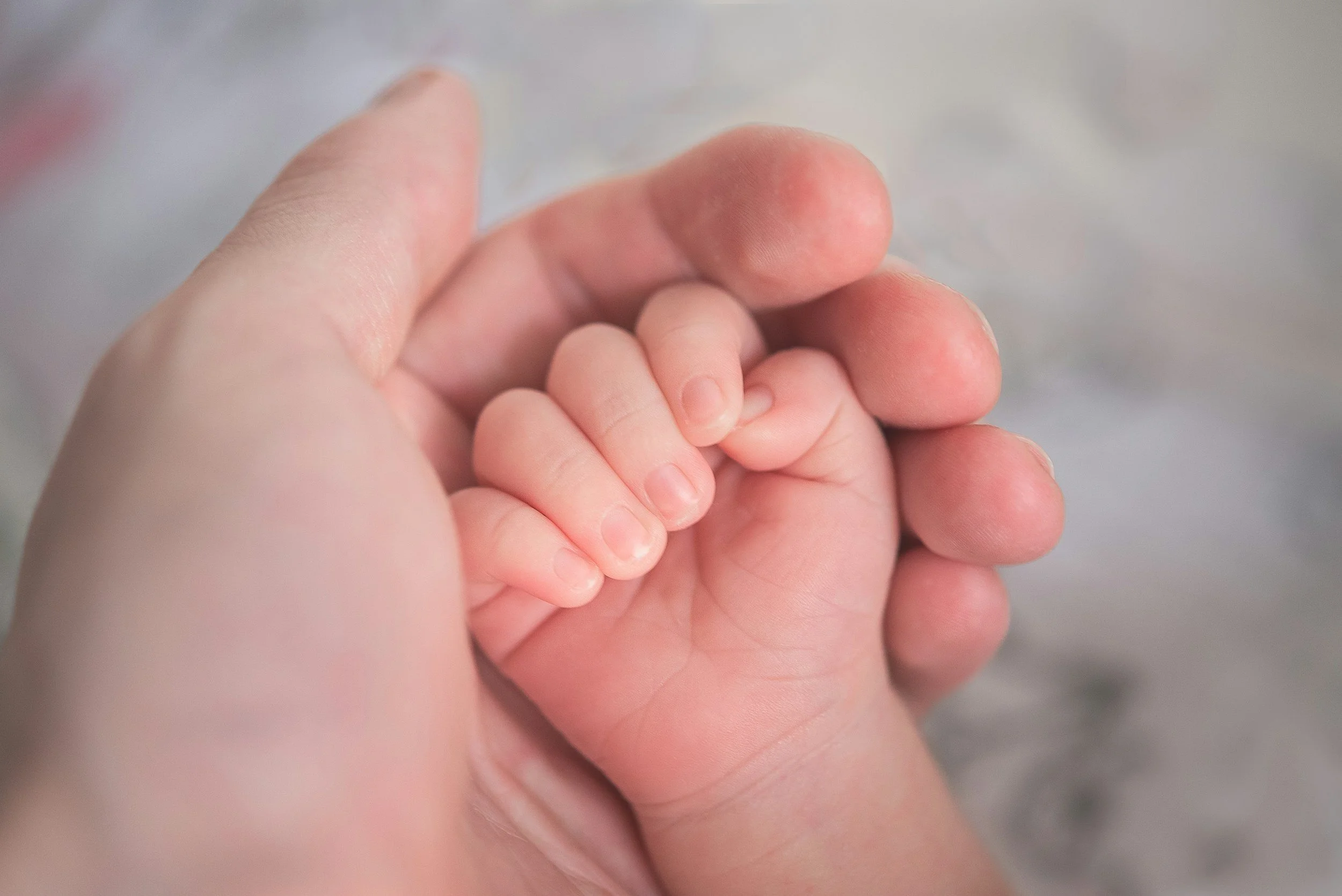 A baby’s hand gently held in an adult’s hand