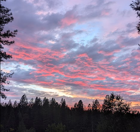Colorful sunset sky with pink and purple clouds over a silhouette of trees.