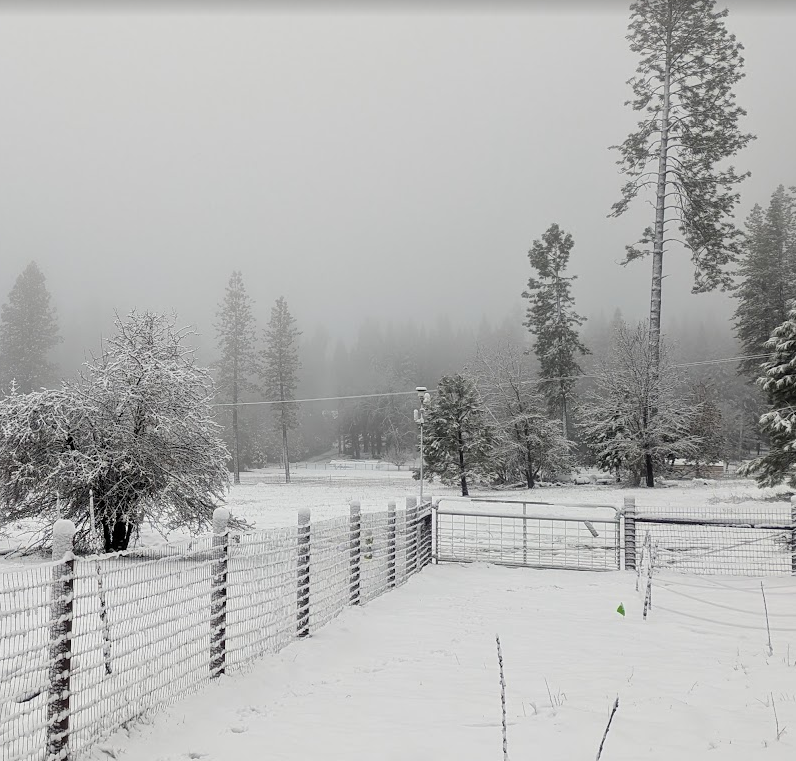 Snow-covered outdoor scene with trees, a fence, and a cloudy sky.