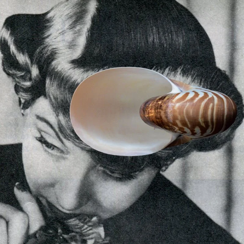 V hair RO 15x15.jpg