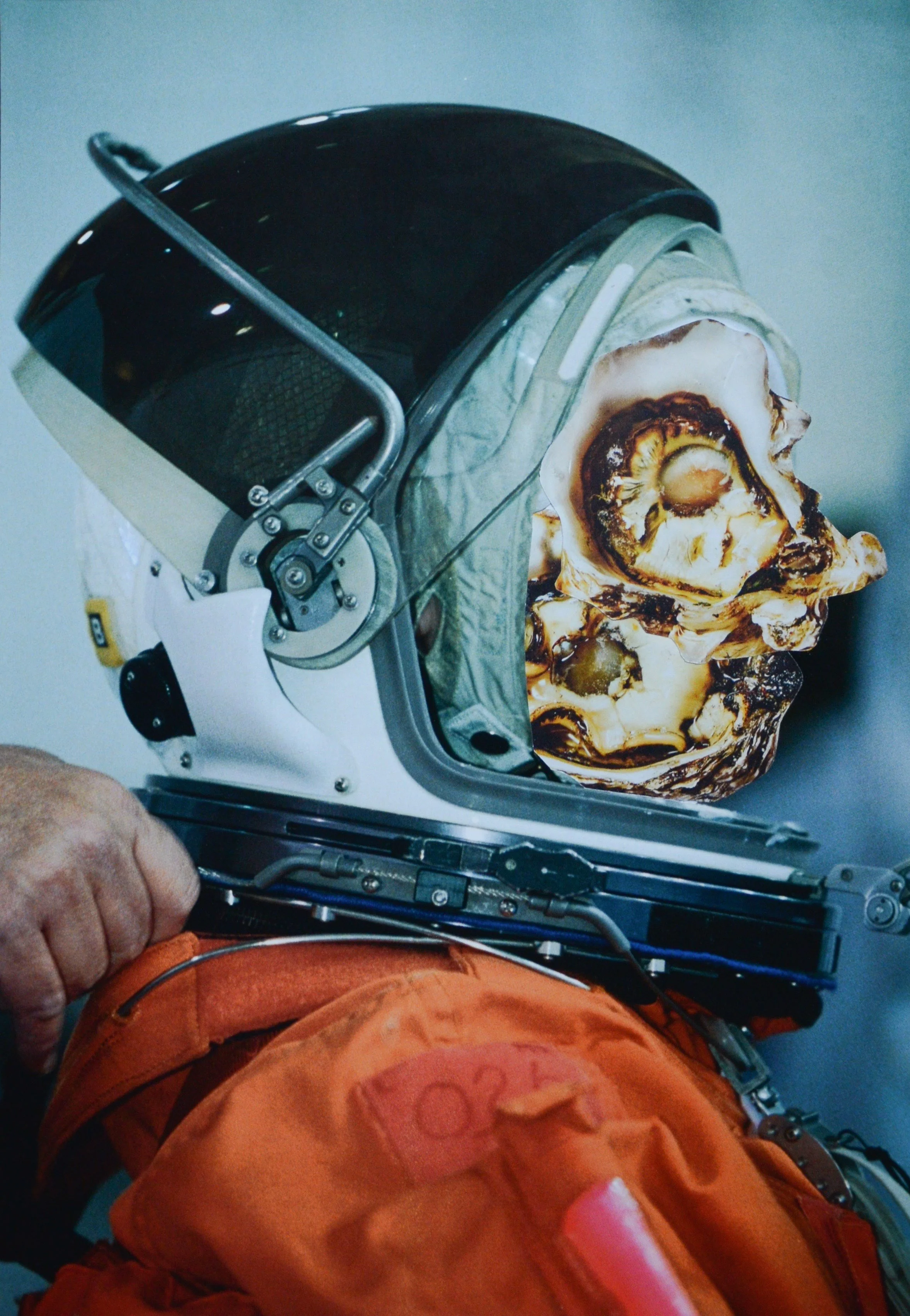 MISSION OYSTER 29.5 x 20.7 2019.jpg