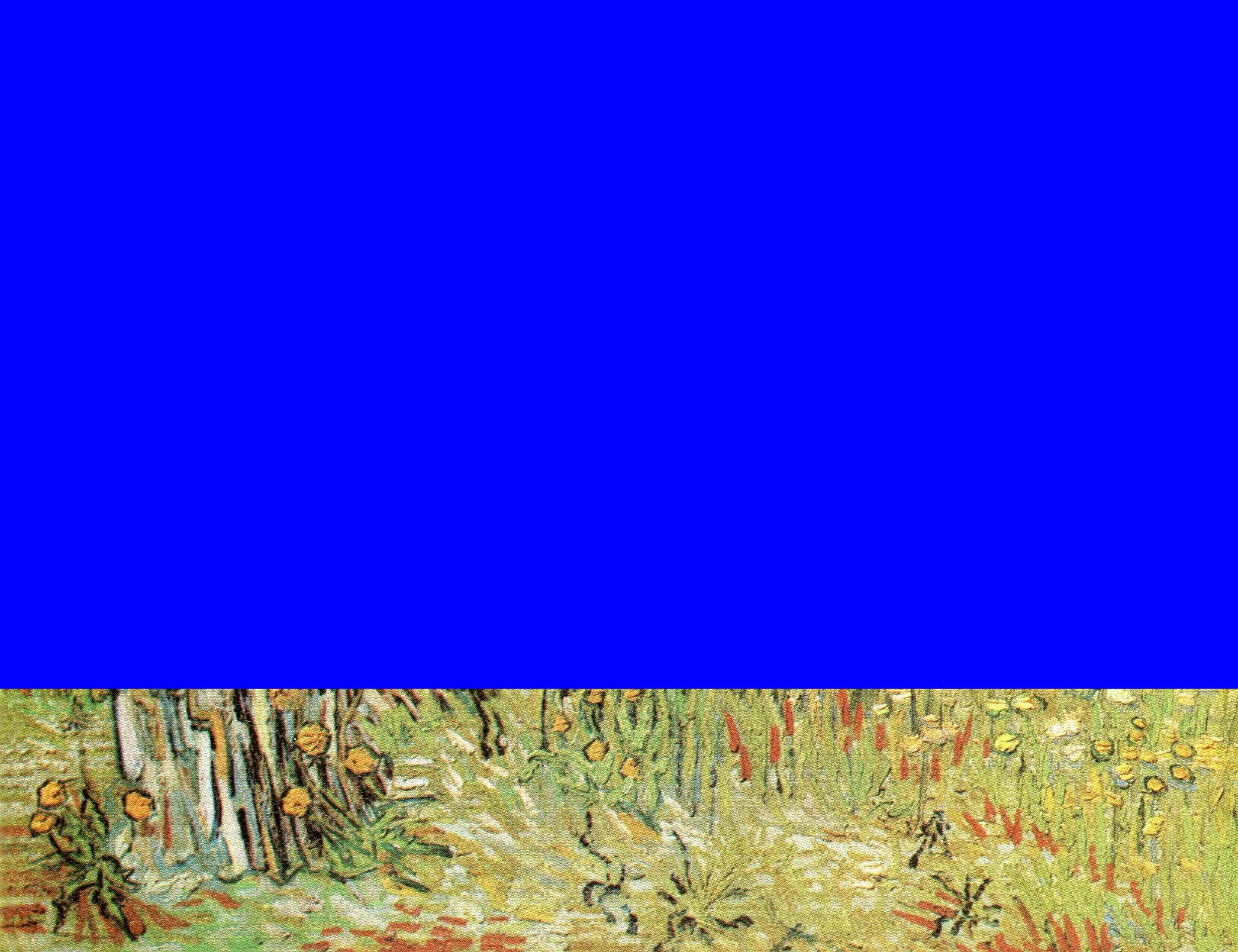 DIGI ASNIERES IN SPRING.jpg