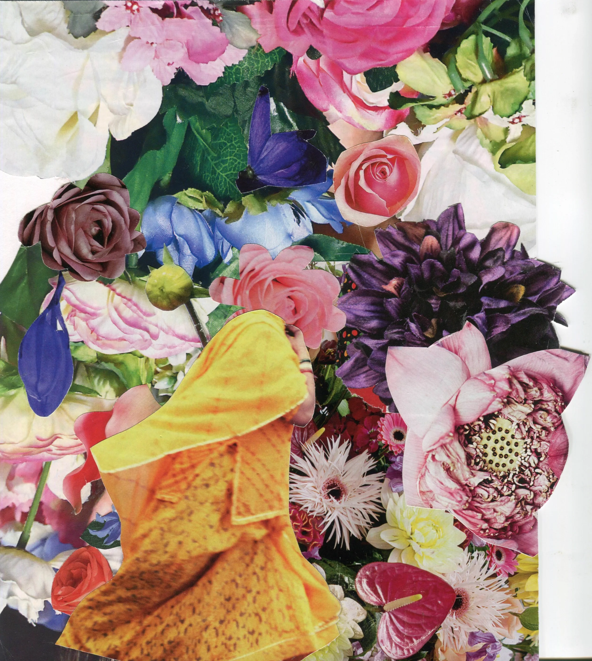 FOR THE ROSES 24 x 19.jpg