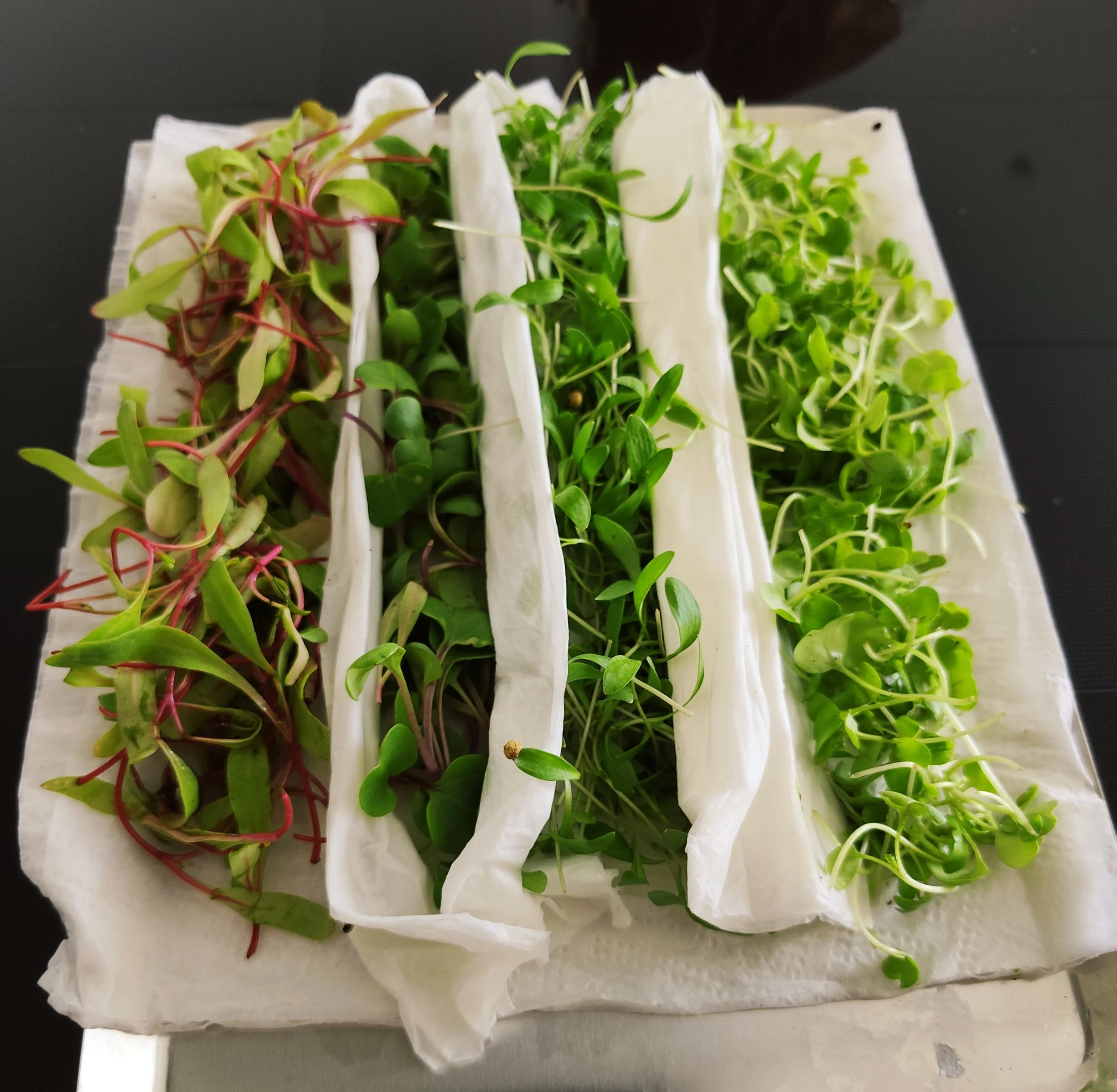Fresh microgreens arranged for a private dining service