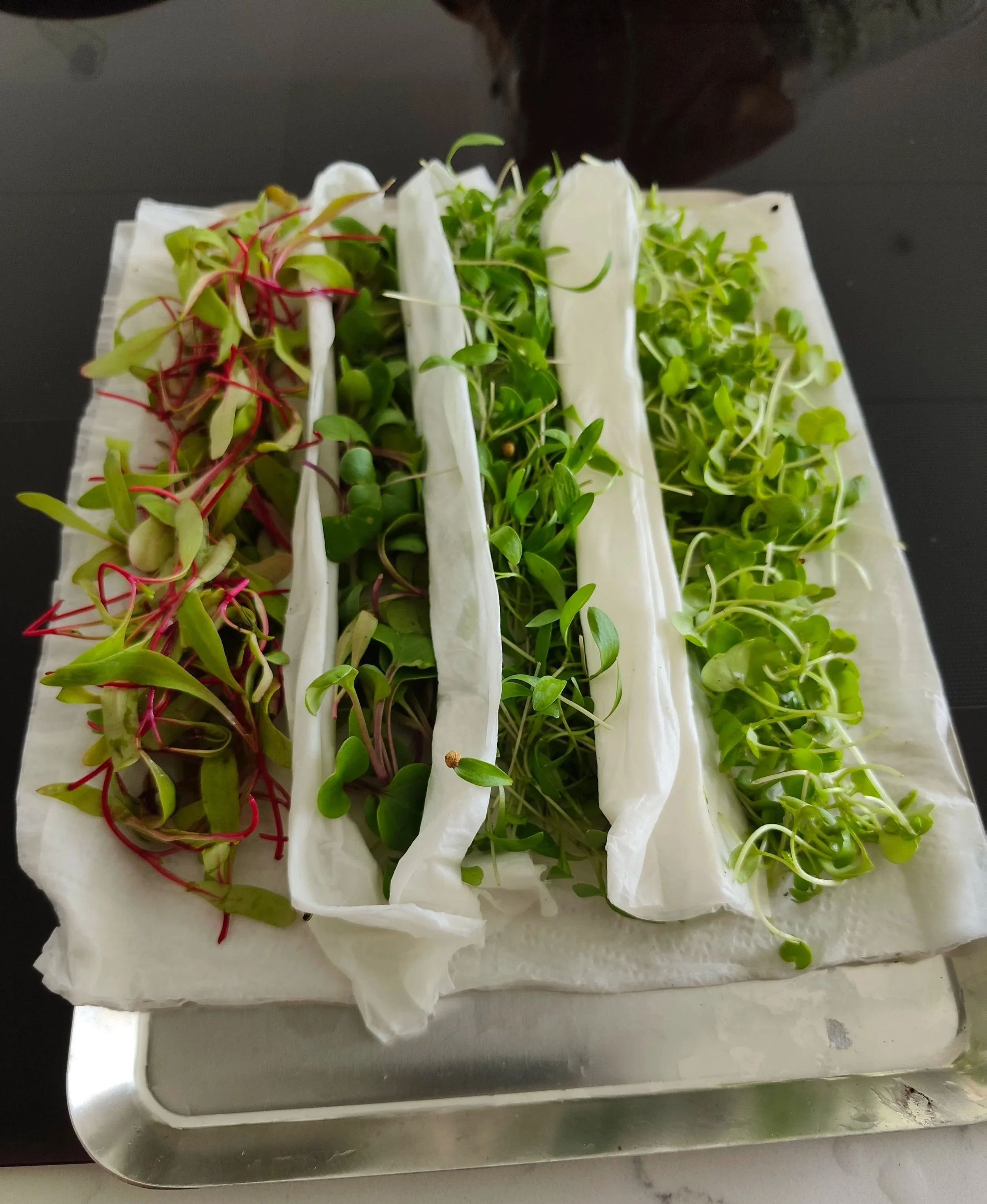Fresh microgreens arranged for a private dining service