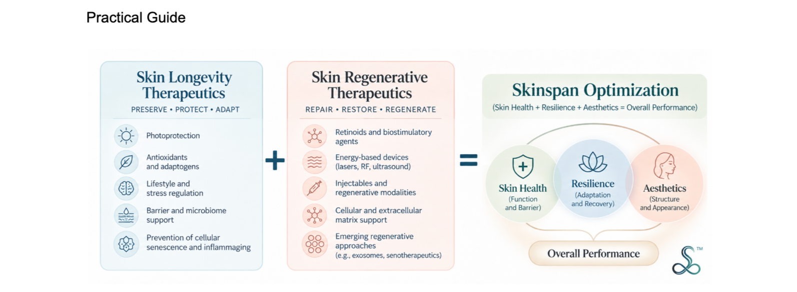 A diagram titled "Practical Guide" that illustrates the relationship between skin therapeutics and skin health. The diagram is divided into three sections: "Skin Longevity Therapeutics" focusing on preservation, protection, and adaptation; "Skin Regenerative Therapeutics" emphasizing repair, restore, and regenerate; and "Skinspan Optimization" which combines these approaches for overall performance through skin health, resilience, and aesthetics.