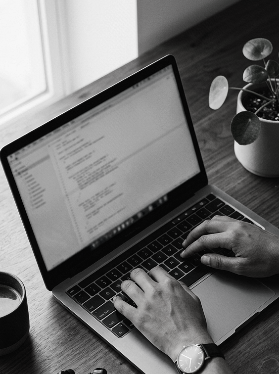 A person typing on a laptop with code on the screen, a potted plant, a cup, and a window in the background.