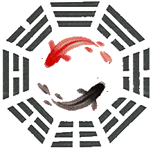 A yin-yang symbol with two fish, one red and one black, inside a black geometric pattern.