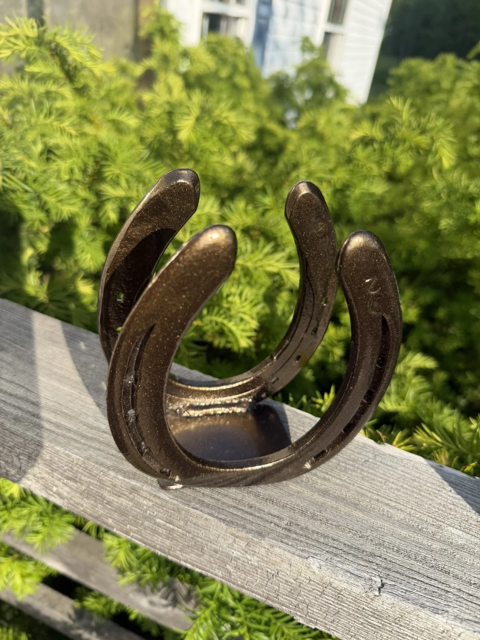 Close-up of a black metal garden hook on a wooden surface with green plants in the background.