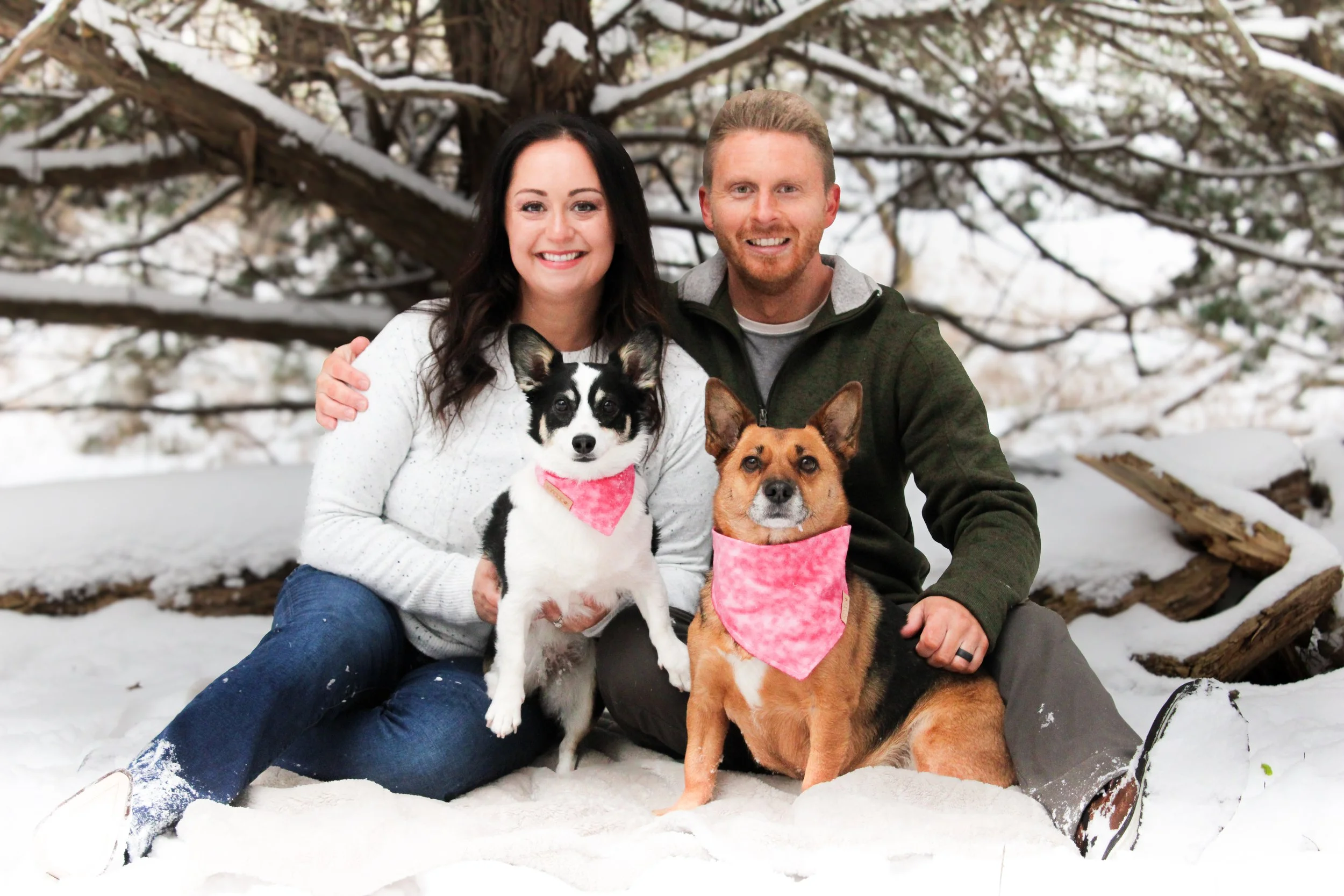 A smiling couple sitting on snow-covered ground in winter, with two dogs wearing pink bandanas, in front of a snow-dusted tree with sprawling branches.
