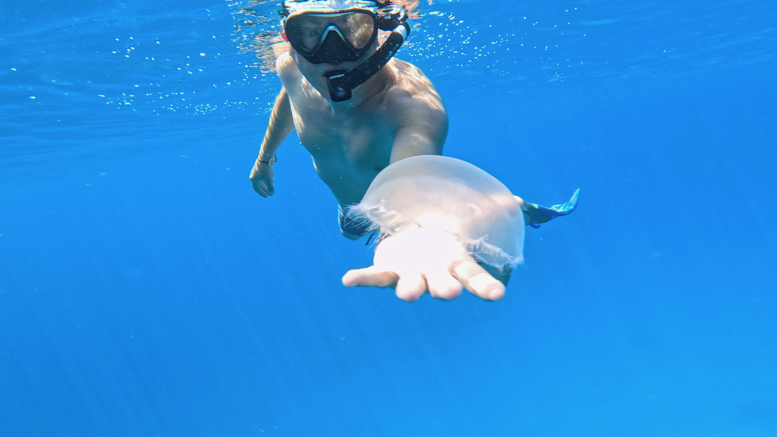 Person snorkeling underwater reaching out to a stingray with open hand.