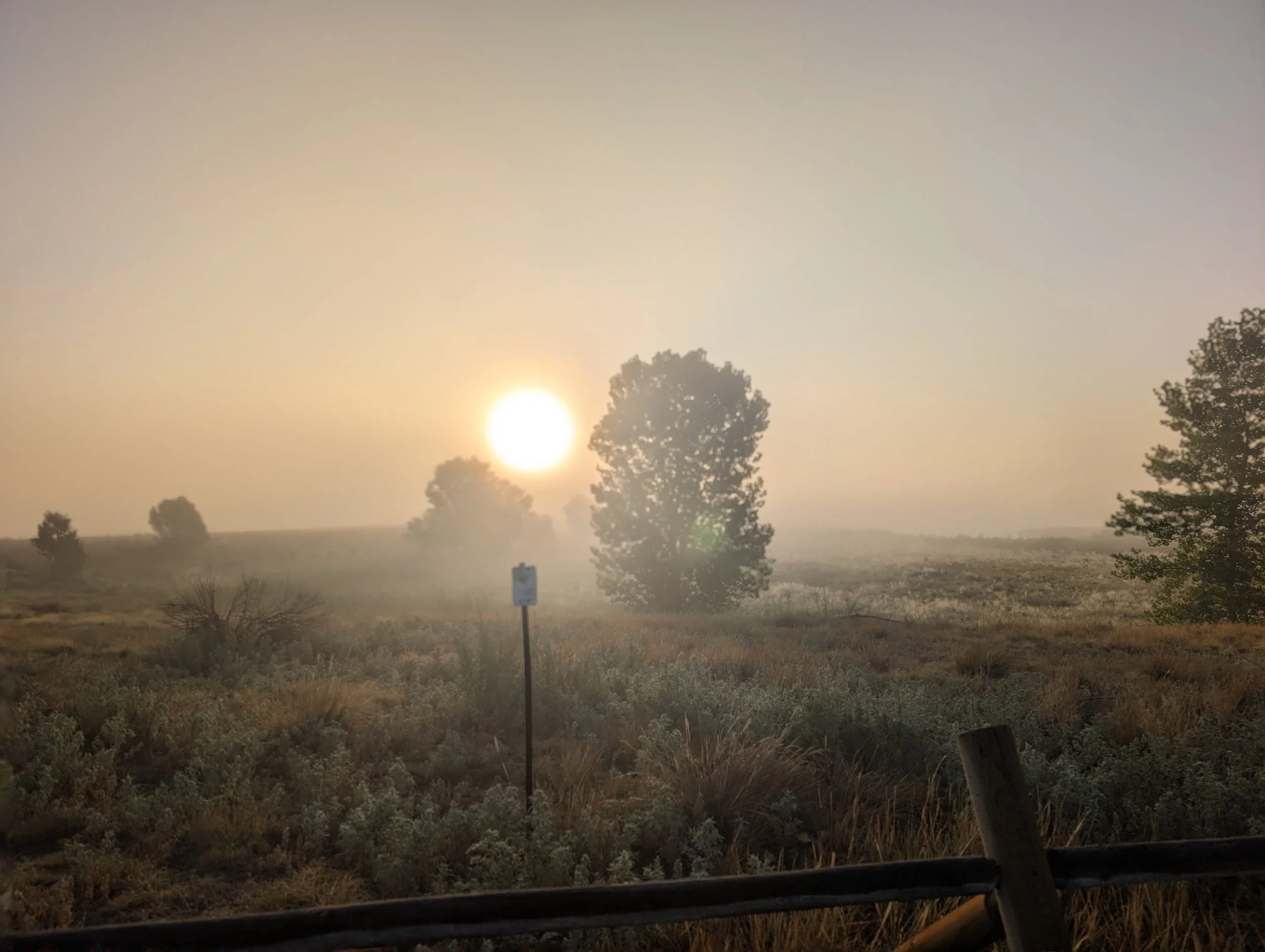 Sunset or sunrise over trees and a field, with a hazy sky and some vehicle window framing the scene.