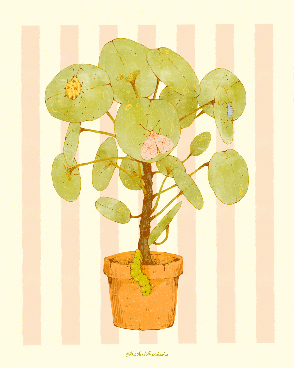 Untitled_Artwork 2.png