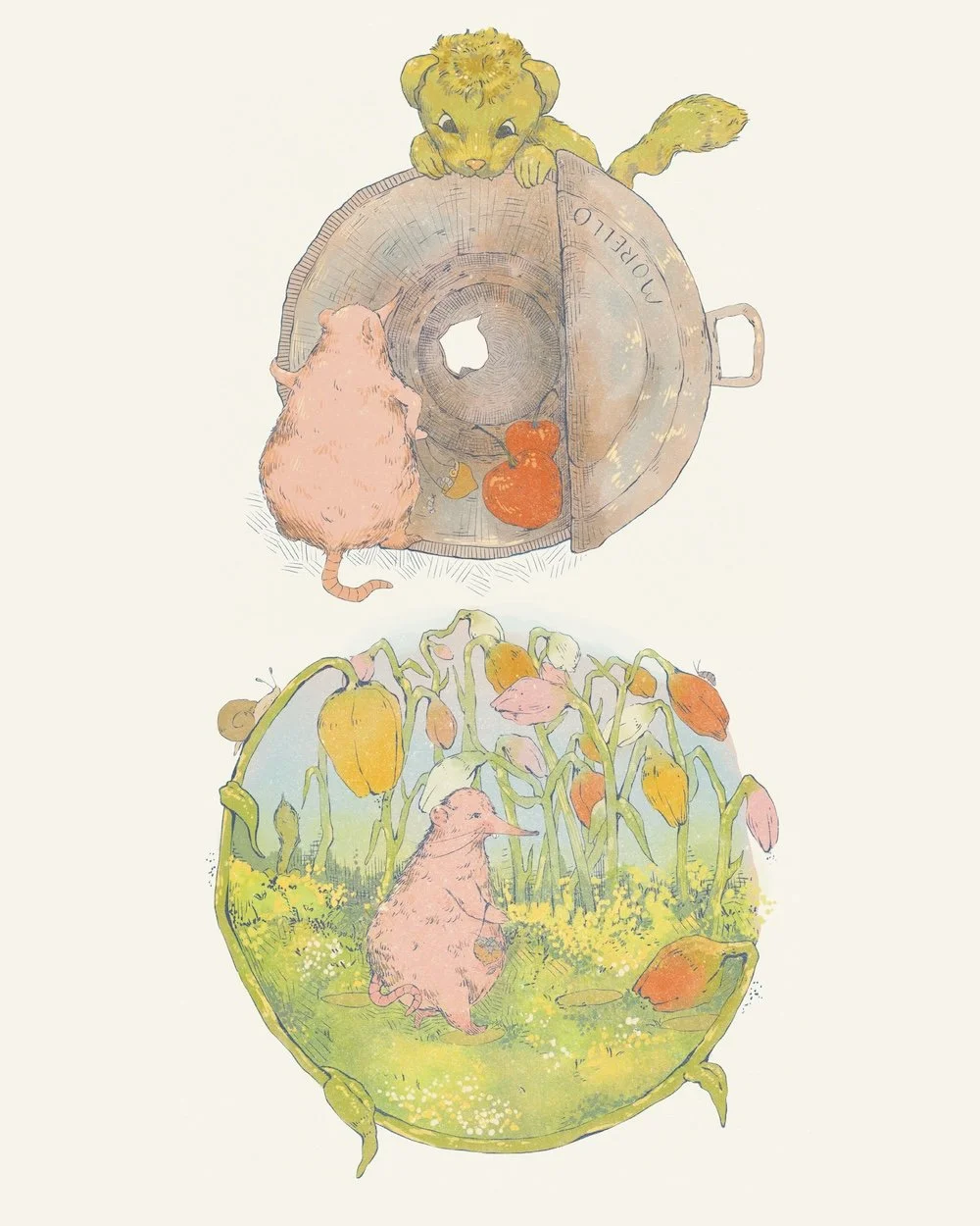Illustrations from Shrew & Weasel Publication copy.jpg