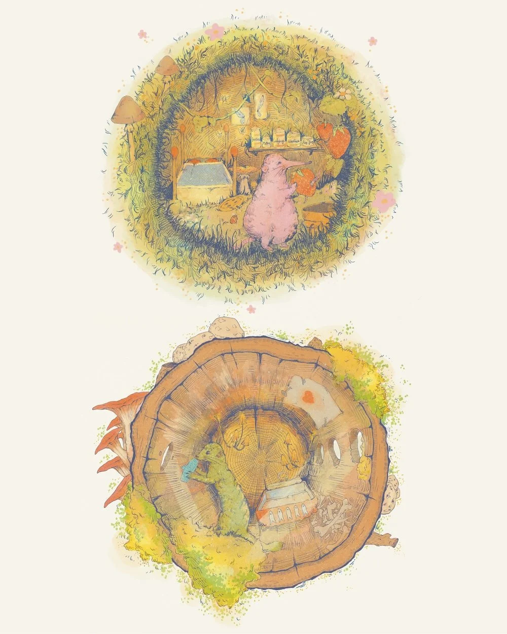 Illustrations from Shrew & Weasel Book.jpg