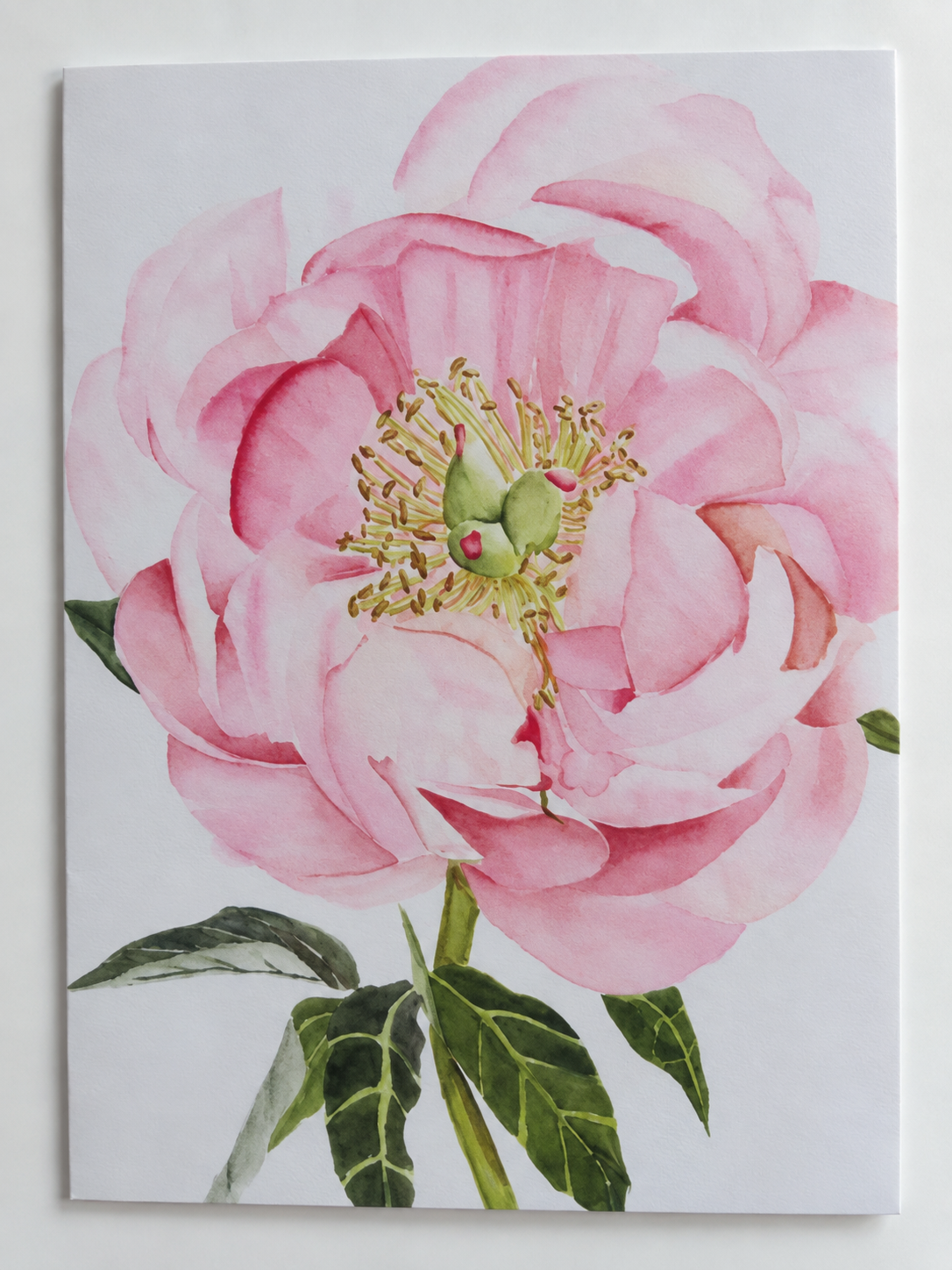 Pink Peony Watercolor Greeting Card Print – 5" × 7"