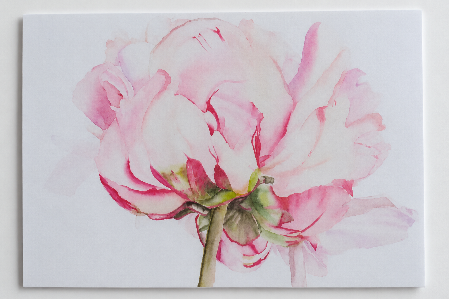 Soft Pink Peony Watercolor Greeting Card Print – 5" × 7"