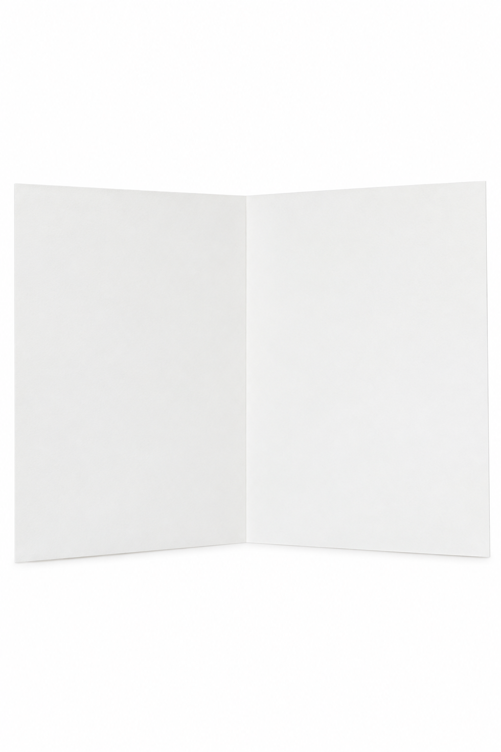 ChatGPT Image Sep 16, 2026, 01_38_39 PM.png