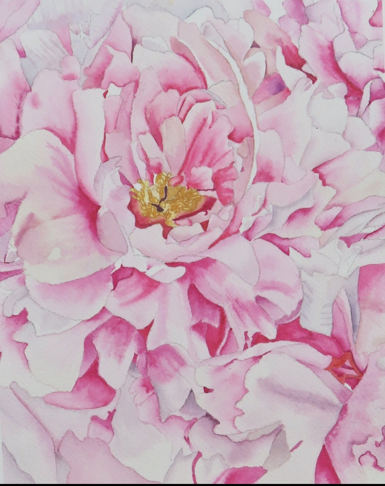 Watercolor painting of a pink peony flower with soft petals and yellow center.