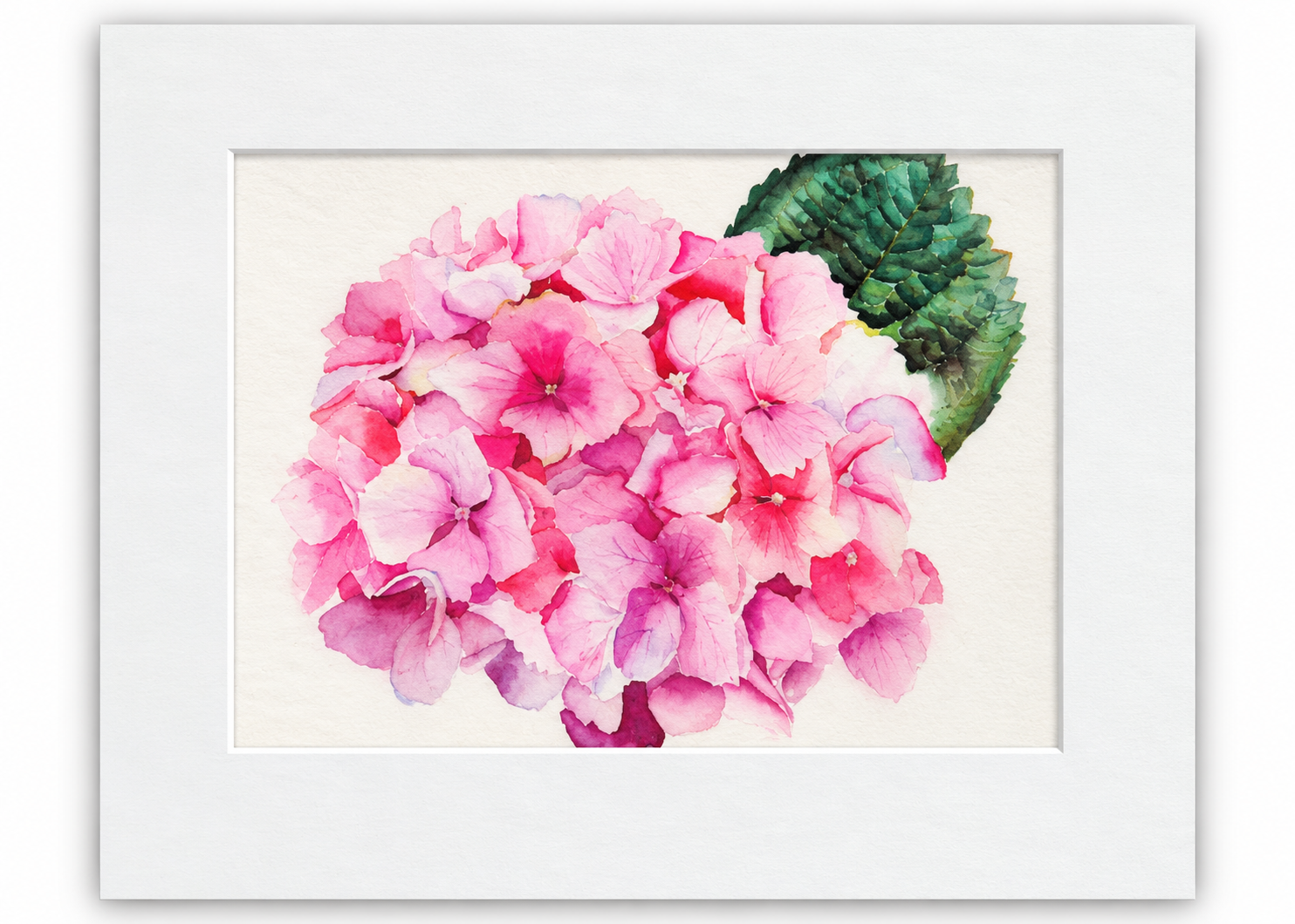 Blushing Hydrangea 5x7 watercolor print featuring a cluster of soft pink hydrangea blossoms and a deep green leaf, displayed in a white 8x10 mat.