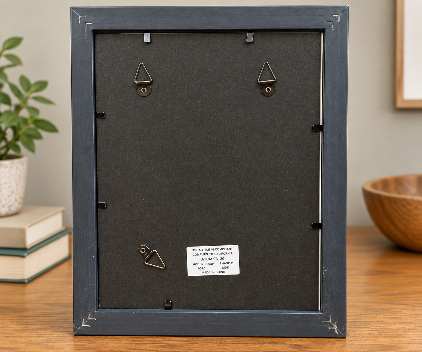 Back view of the black 8x10 frame for Under the Coneflower showing the backing and hanging hardware.