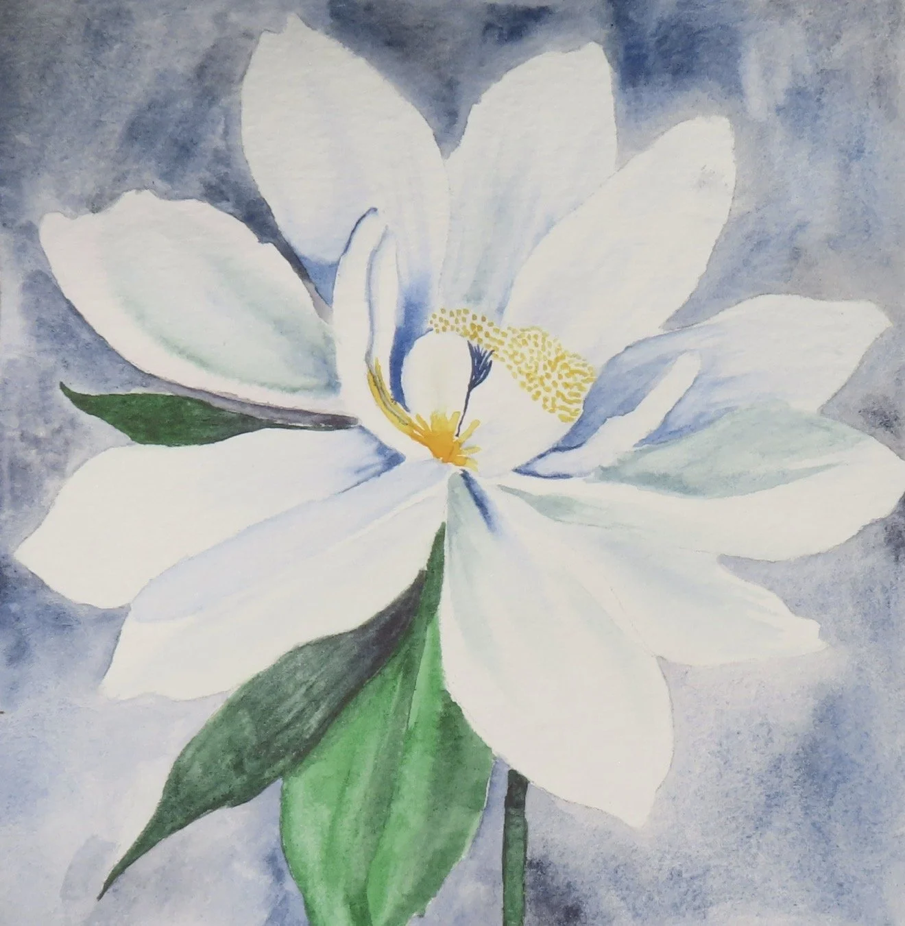 A watercolor painting of a white flower with green leaves against a grey background.