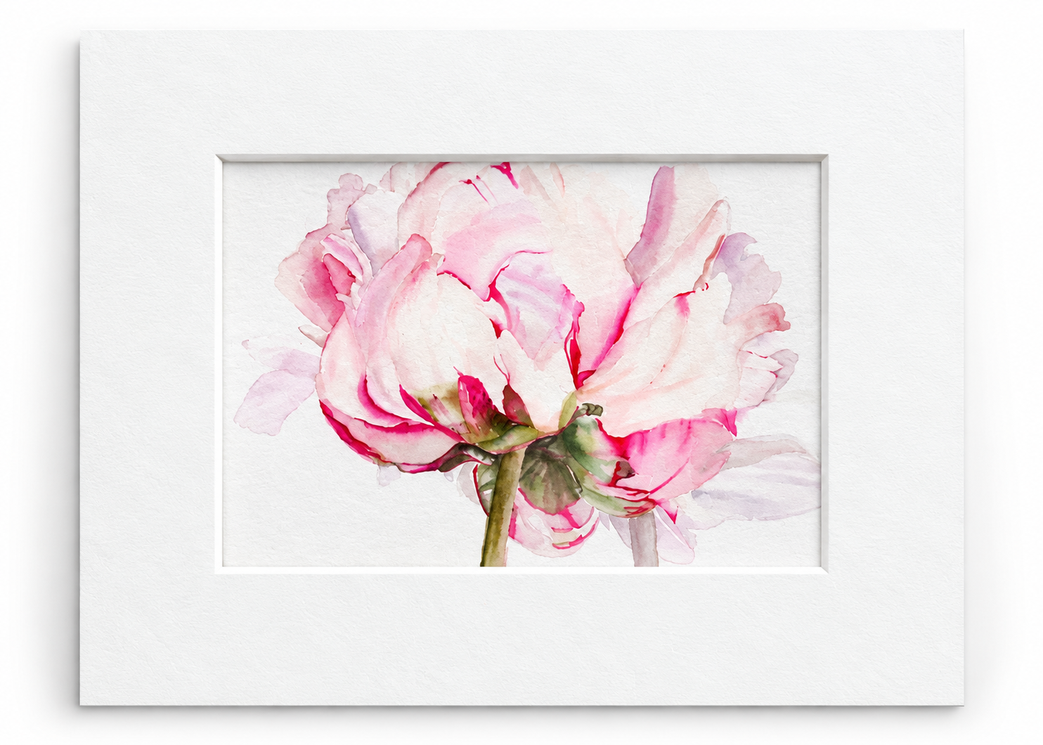 Blushing Peony 5x7 watercolor print featuring a soft pink peony displayed in an 8x10 white mat.