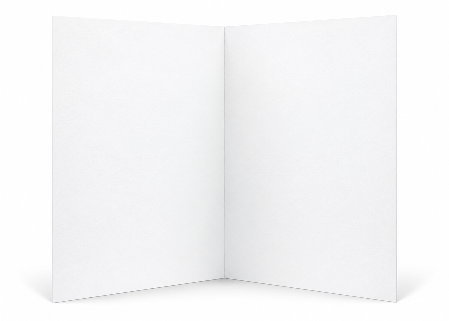 Open Moonlight in Magnolia 5x7 note card showing the blank white interior for a handwritten personal message.