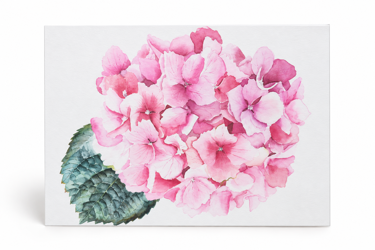 Pink Hydrangea Watercolor Greeting Card – 5" x 7"