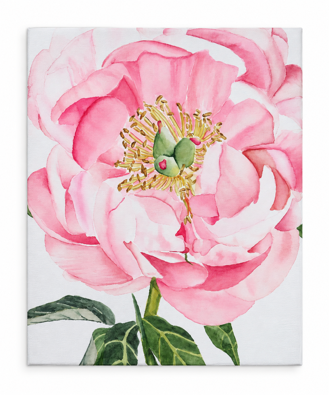 Peony in Bloom- Front.png